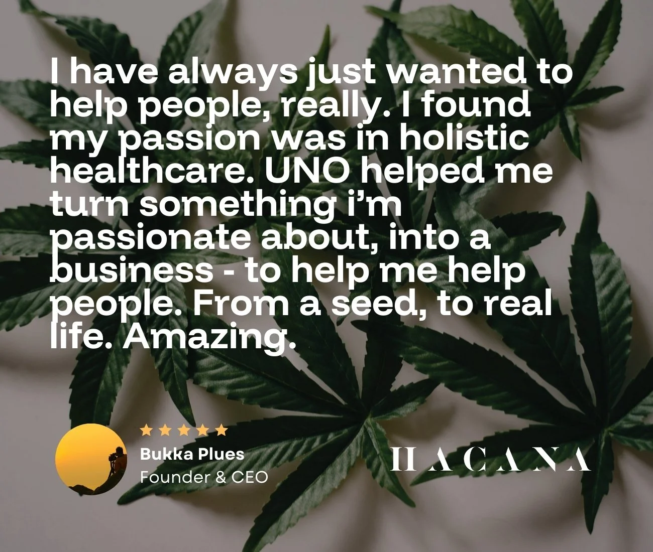 Quote from HACANA CBD on overlay on a background of green cannabis leaves; text giving thanks for professional branding services for a new venture in Manchester