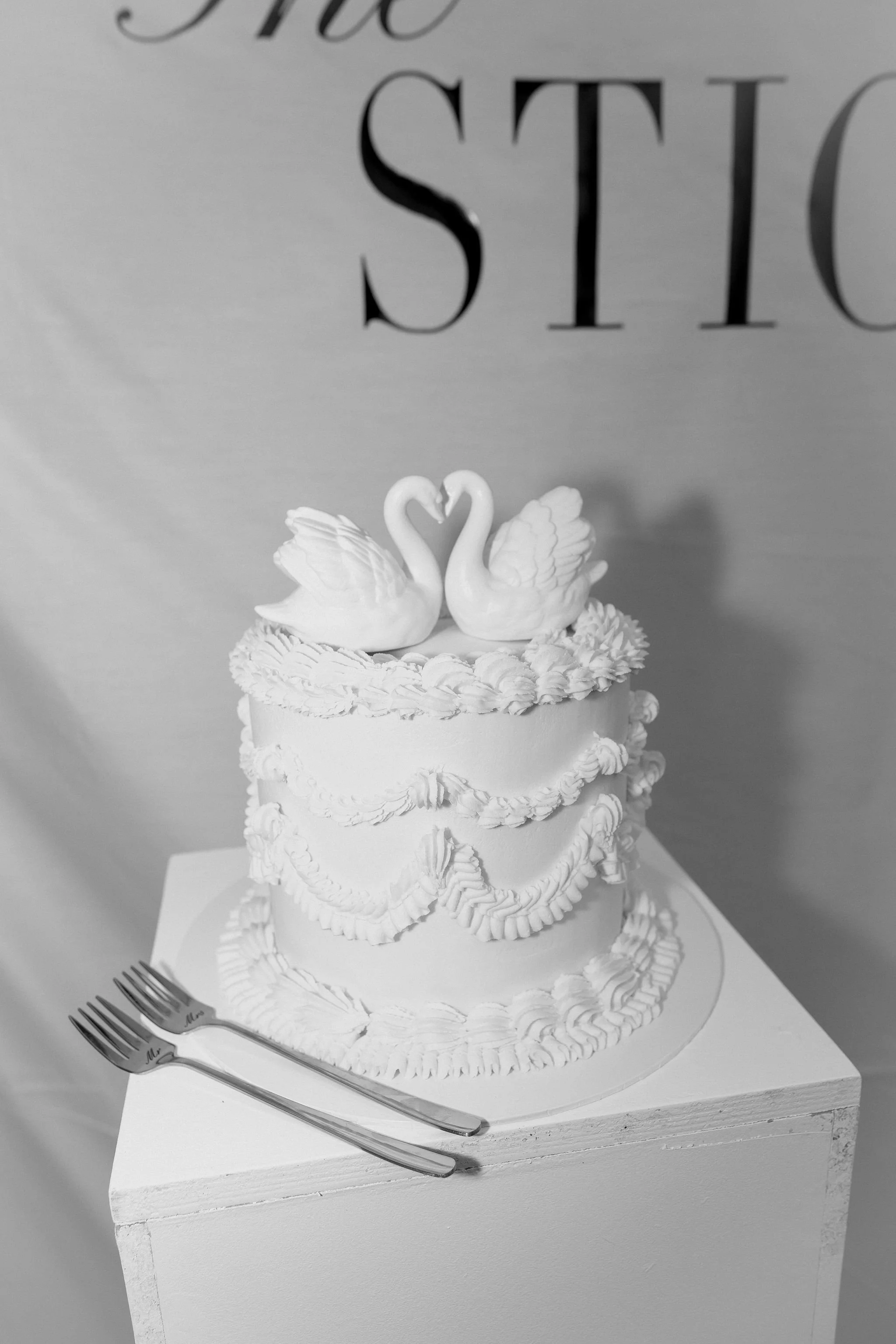 Dionne Fernyhough Wedding Photography (269).jpg