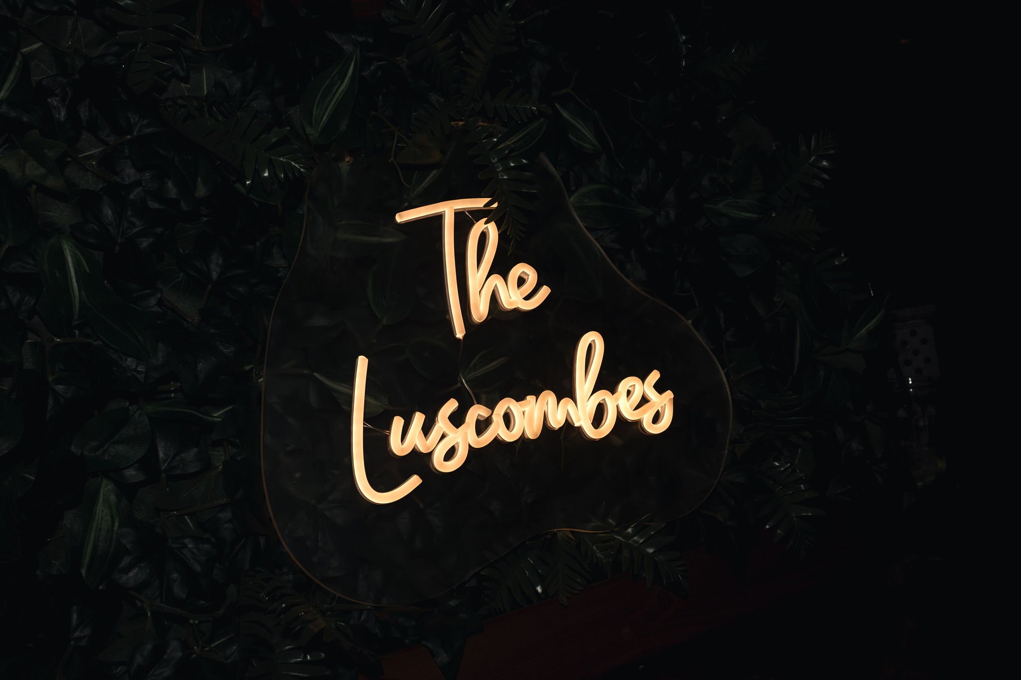 Dionne Fernyhough Ana and Jack Gallery (134).jpg