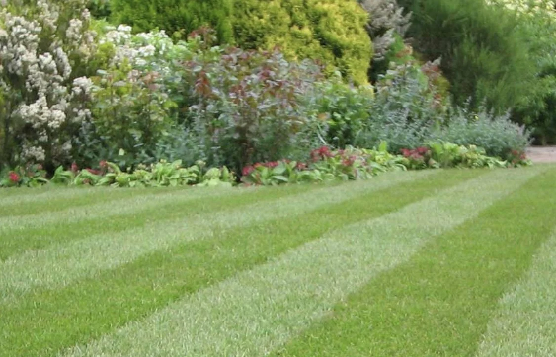 Image 07-03-2026 at 19.46.jpeg