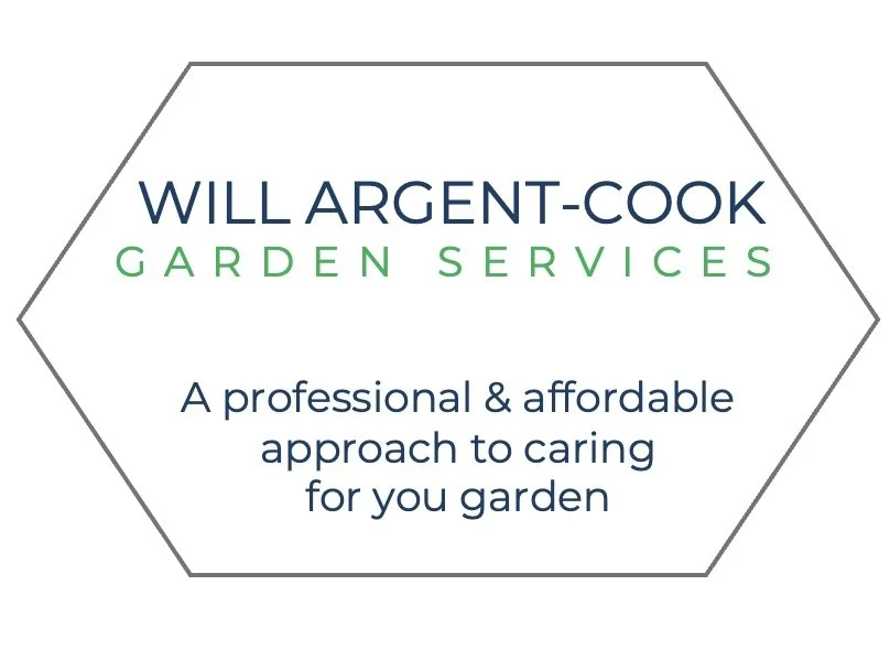 Image 23-03-2026 at 09.42.jpeg