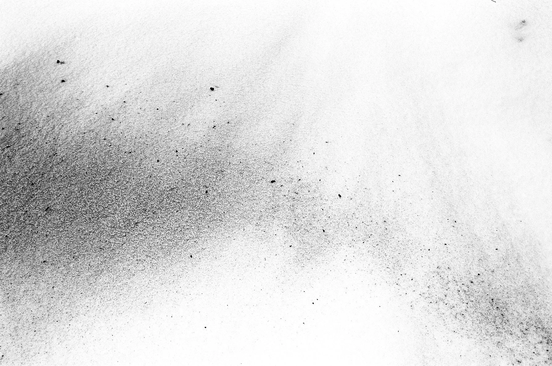 ASH DRAWINGS