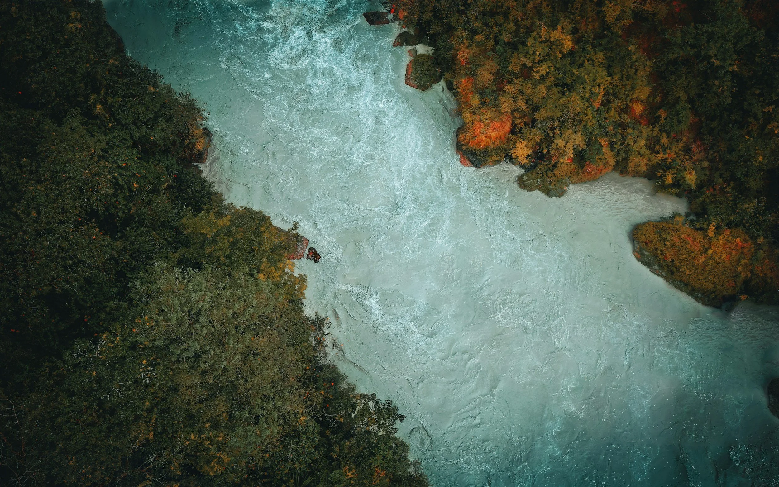 unsplash-image-f_dFplZ6IaQ.jpg