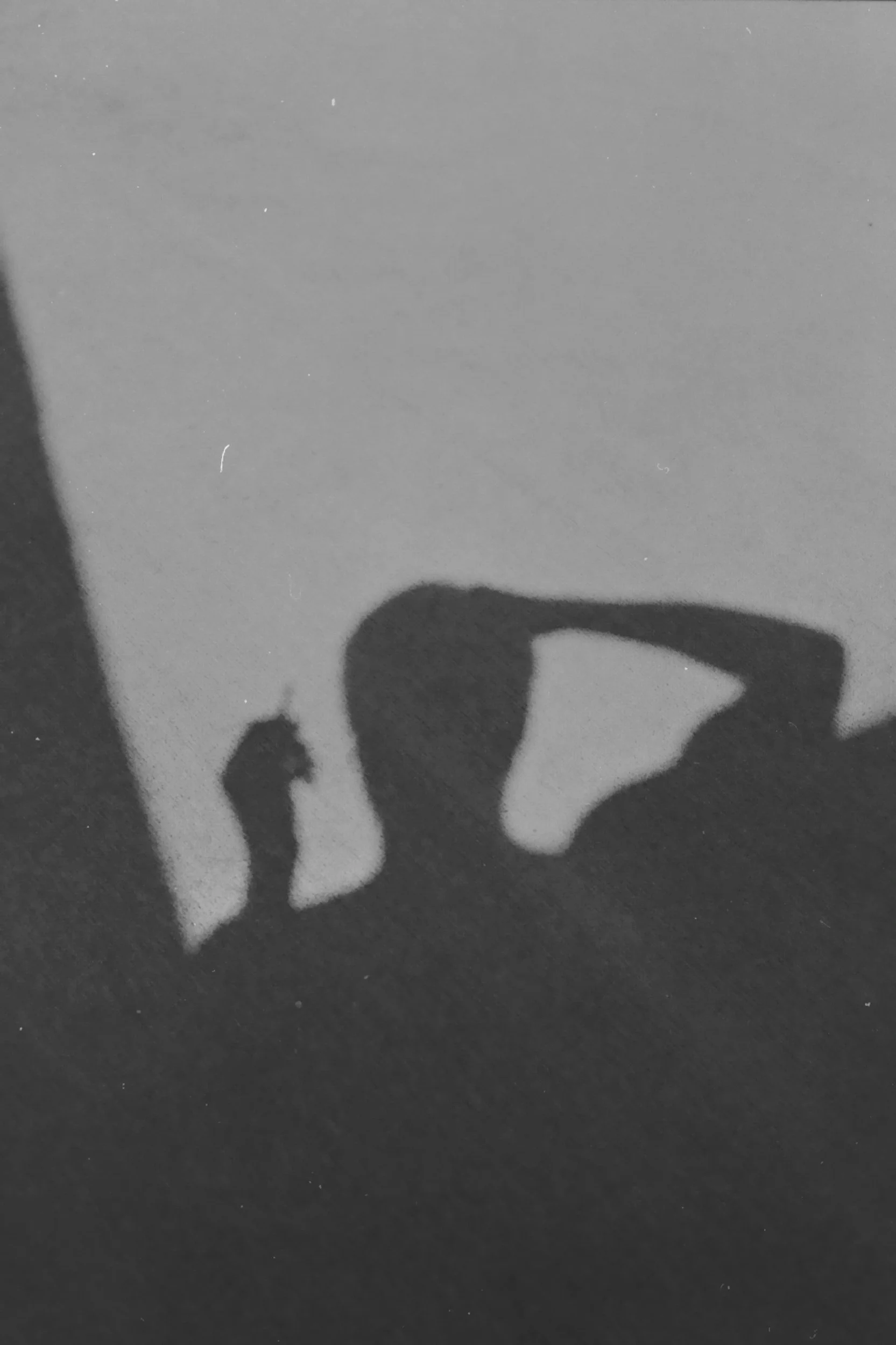 unsplash-image-FFLNGO6pcJ0.jpg