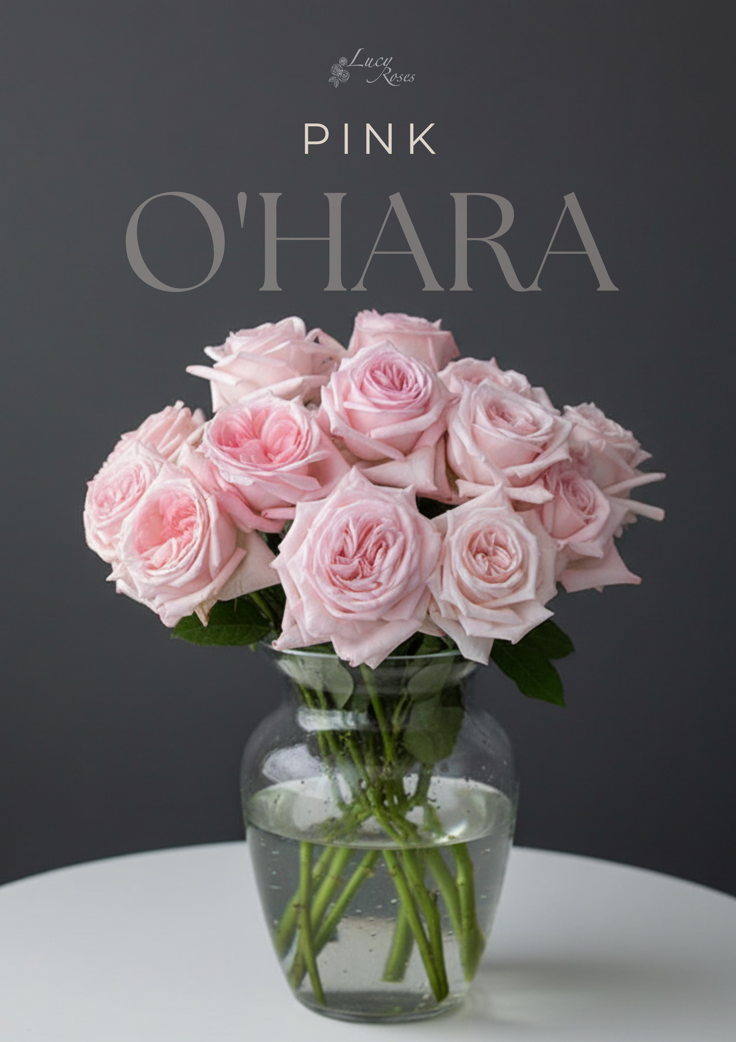 Pink Ohara garden roses in a glass vase filled with water, placed on a white surface against a dark background.