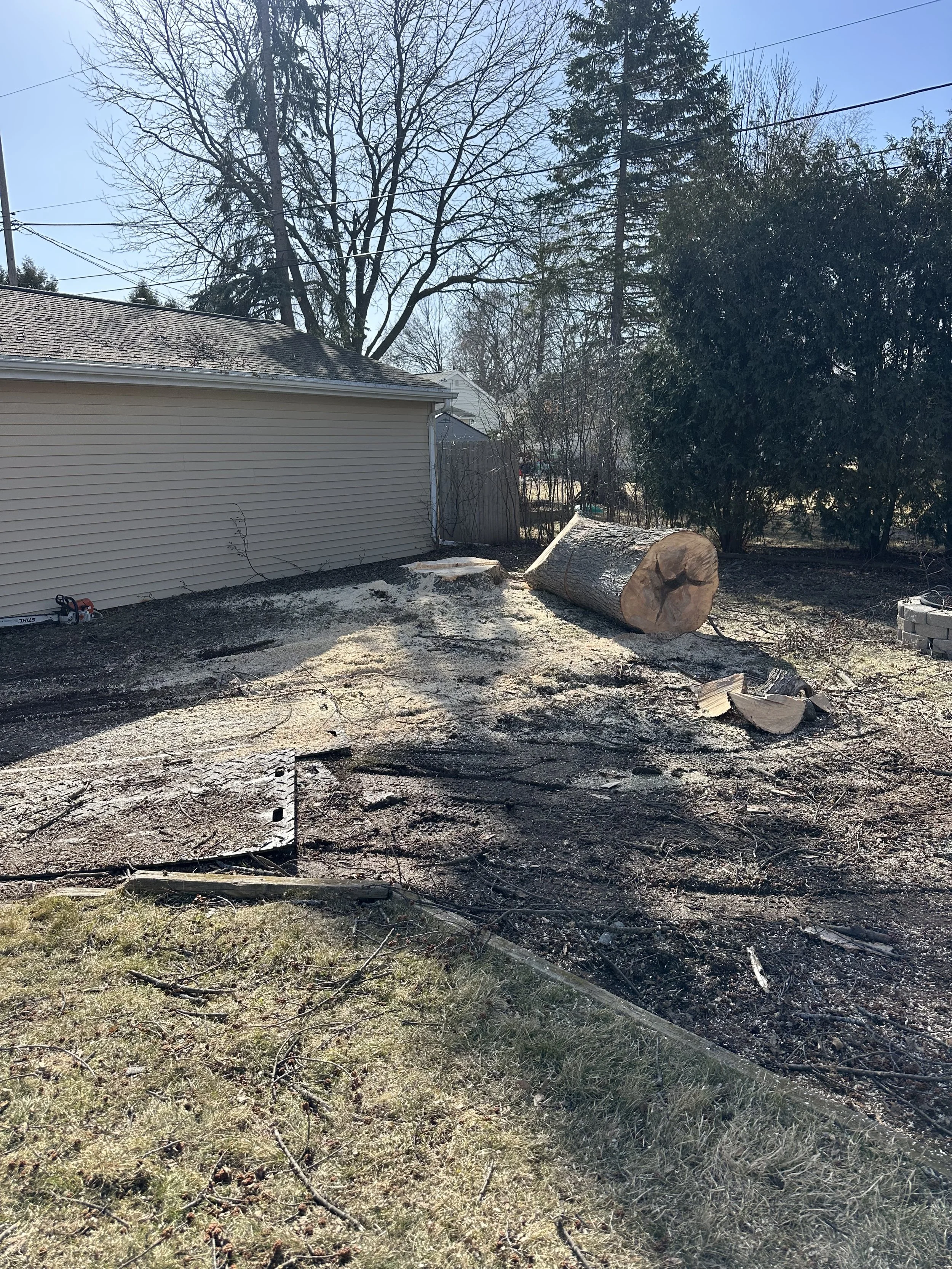 Family owned tree service. Tree removal and tree trimming with arborist and crane in Green Bay.
