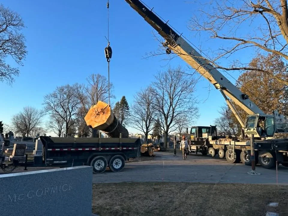 A crane lifting a large wooden log at a cemetery with leafless trees in the background.