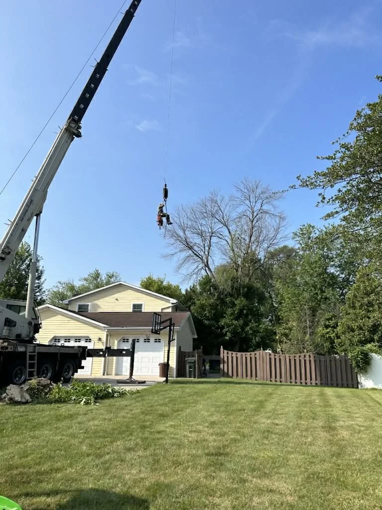 A crane lifting a person in a harness high above a residential backyard with a lawn, house, trees, and a basketball hoop.