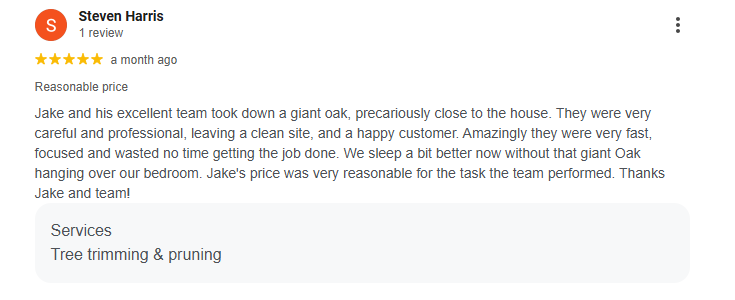 Review for professional and reasonable tree services and tree removal.