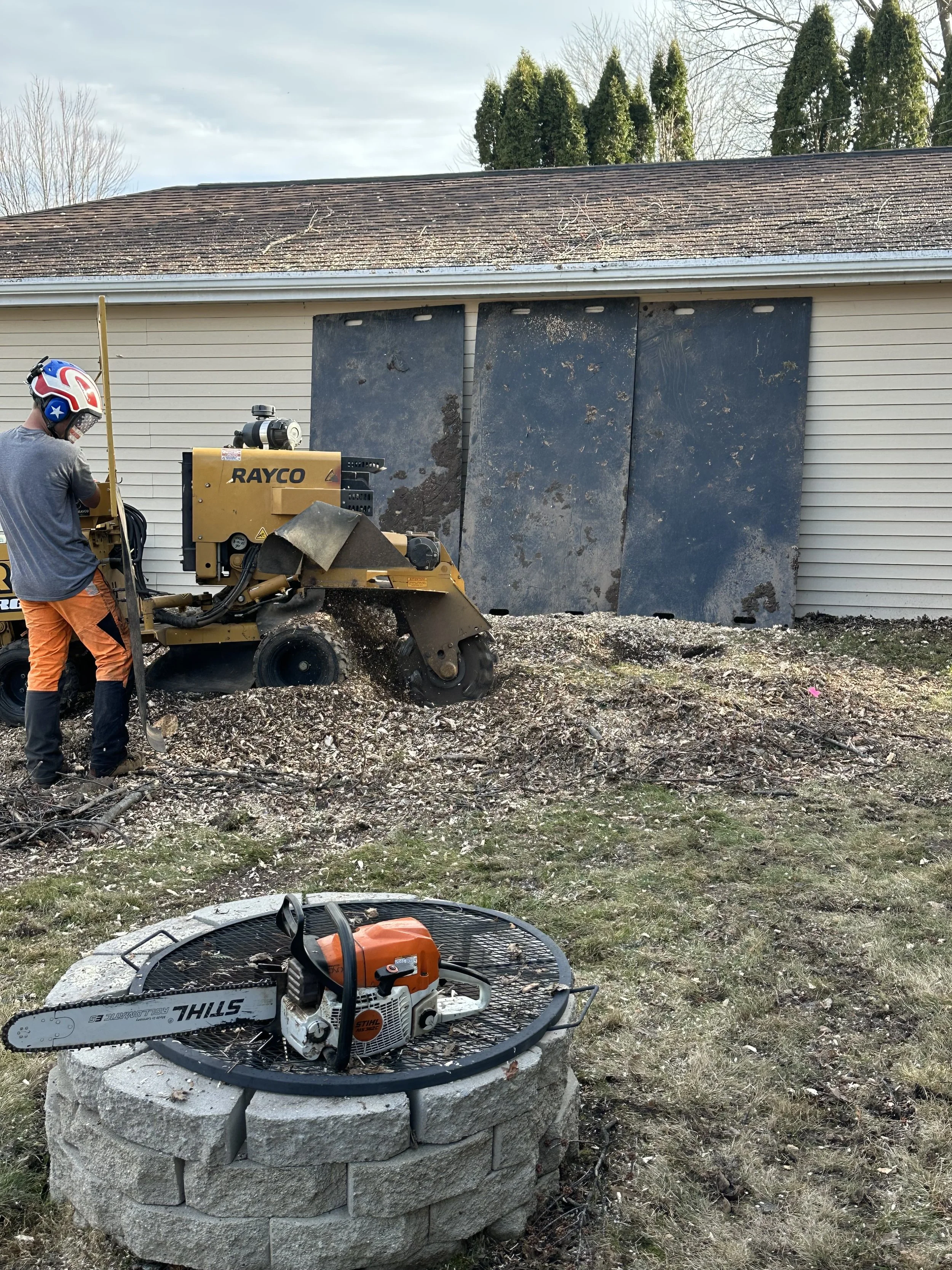 Family owned tree service. Tree removal and tree trimming with arborist and crane in Green Bay.