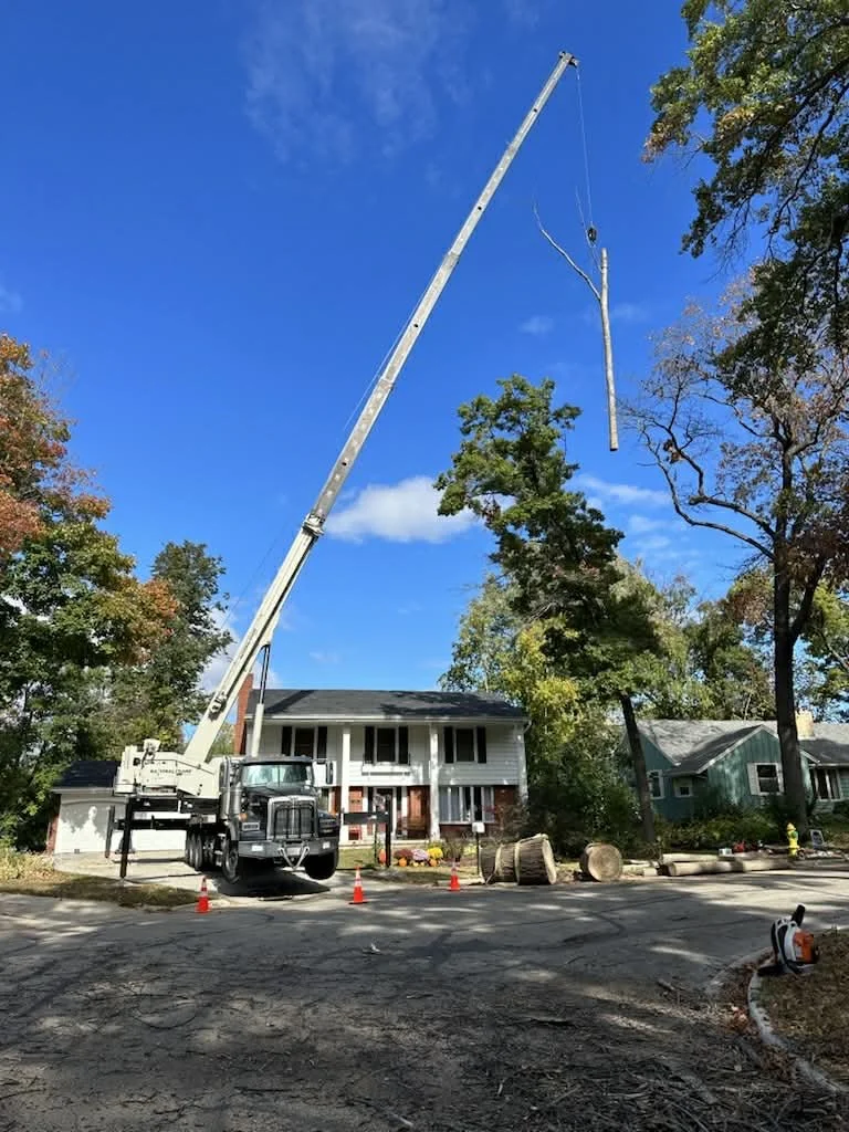 A crane lifting a tree trunk in front of a house during tree removal or yard work.
