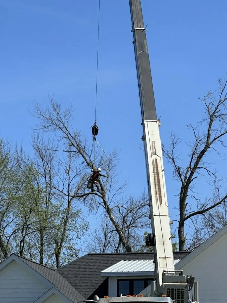 A worker in safety gear climbing a tree while being lifted by a crane in a residential neighborhood.