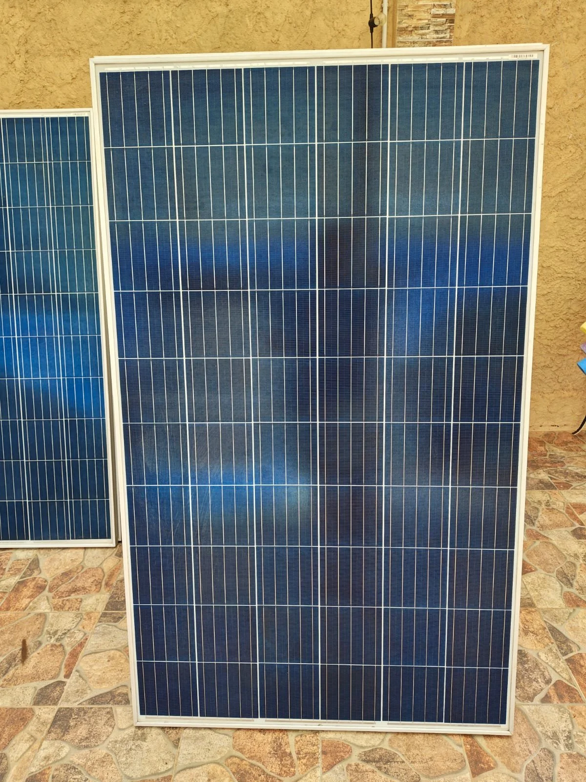 WhatsApp Image 2026-03-02 at 1.40.27 PM.jpeg