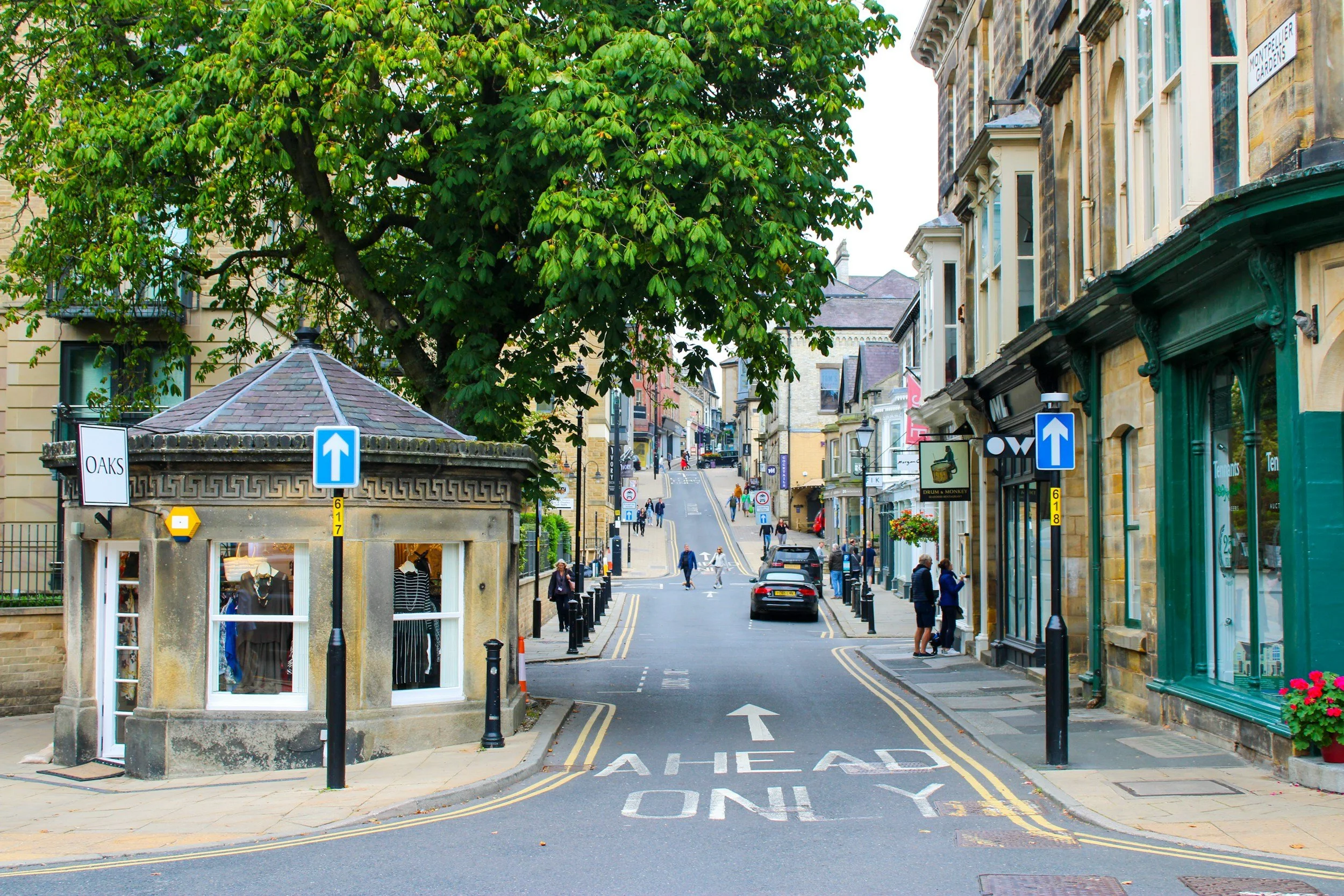 Harrogate town street with shops on both sides, parked cars, pedestrians, and a large green tree at the corner. The street has yellow double lines, one-way traffic signs, and road markings.