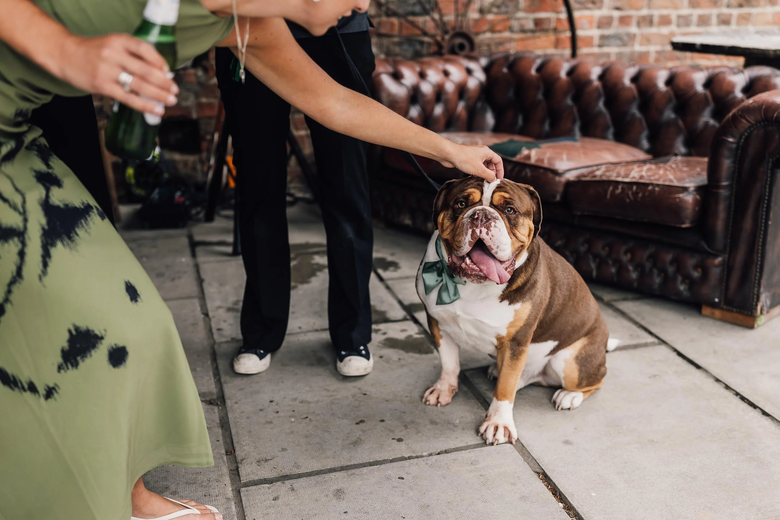Bride & Grooms Dog at Barn Wedding
