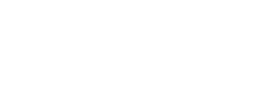 Dandrew Photography