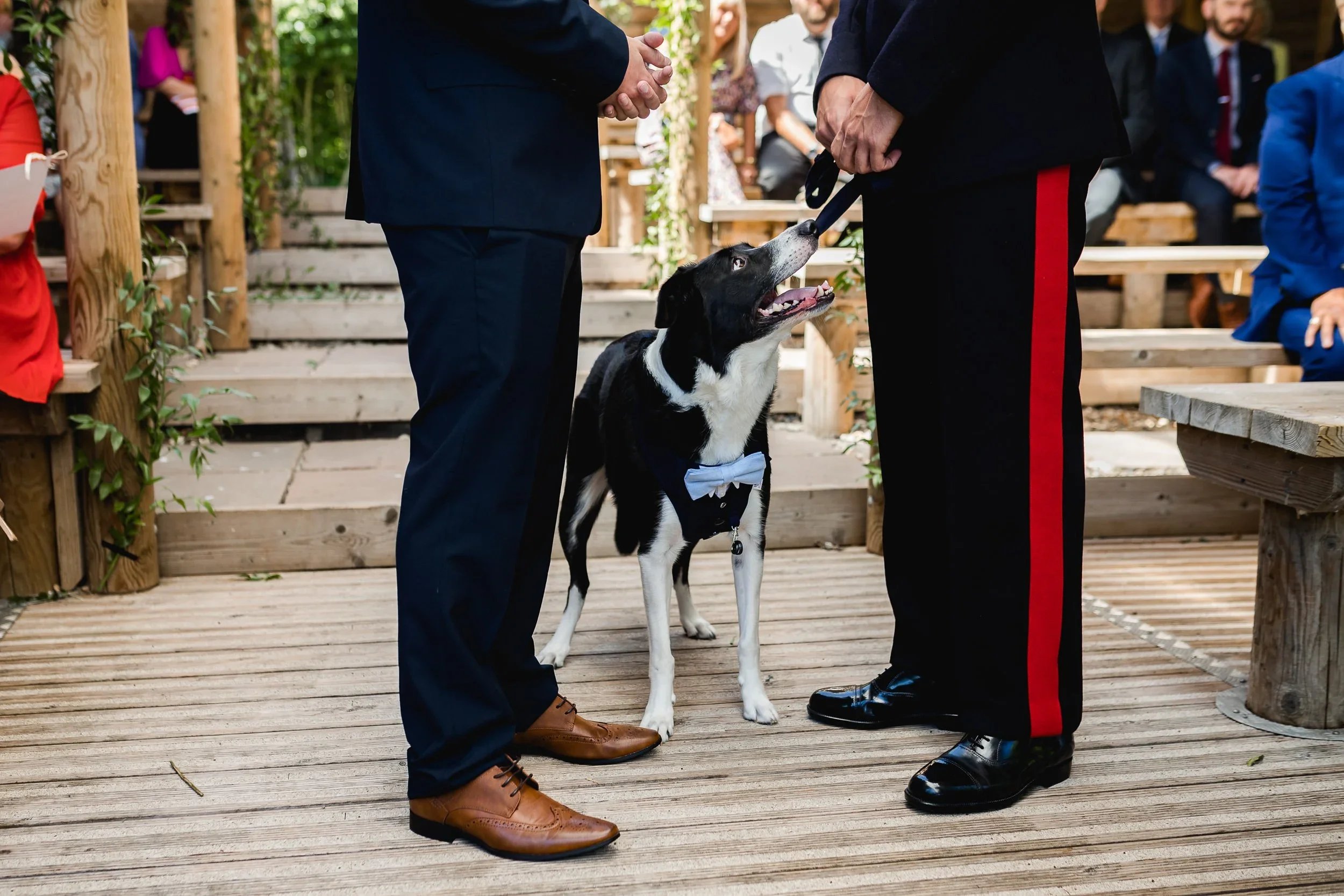 Dog wearing a bow tie standing between the grooms during their outdoor wedding ceremony at the lakeside pavilion at Oaklands Grand Lodge in Driffield