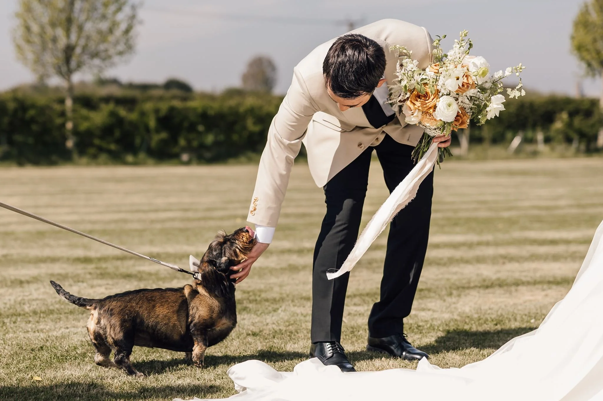 Harry bending down to stroke Dottie on the lawn