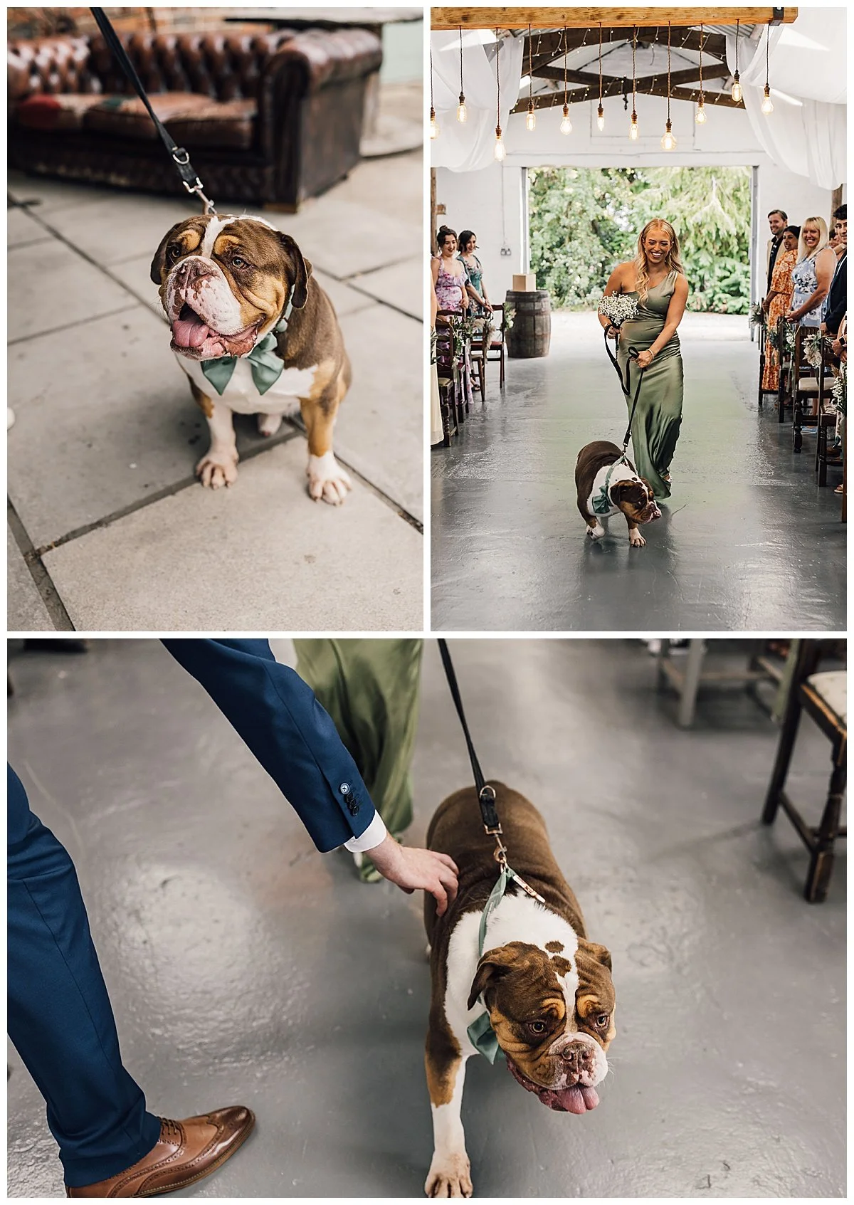 Bridesmaid walking dog down the wedding isle