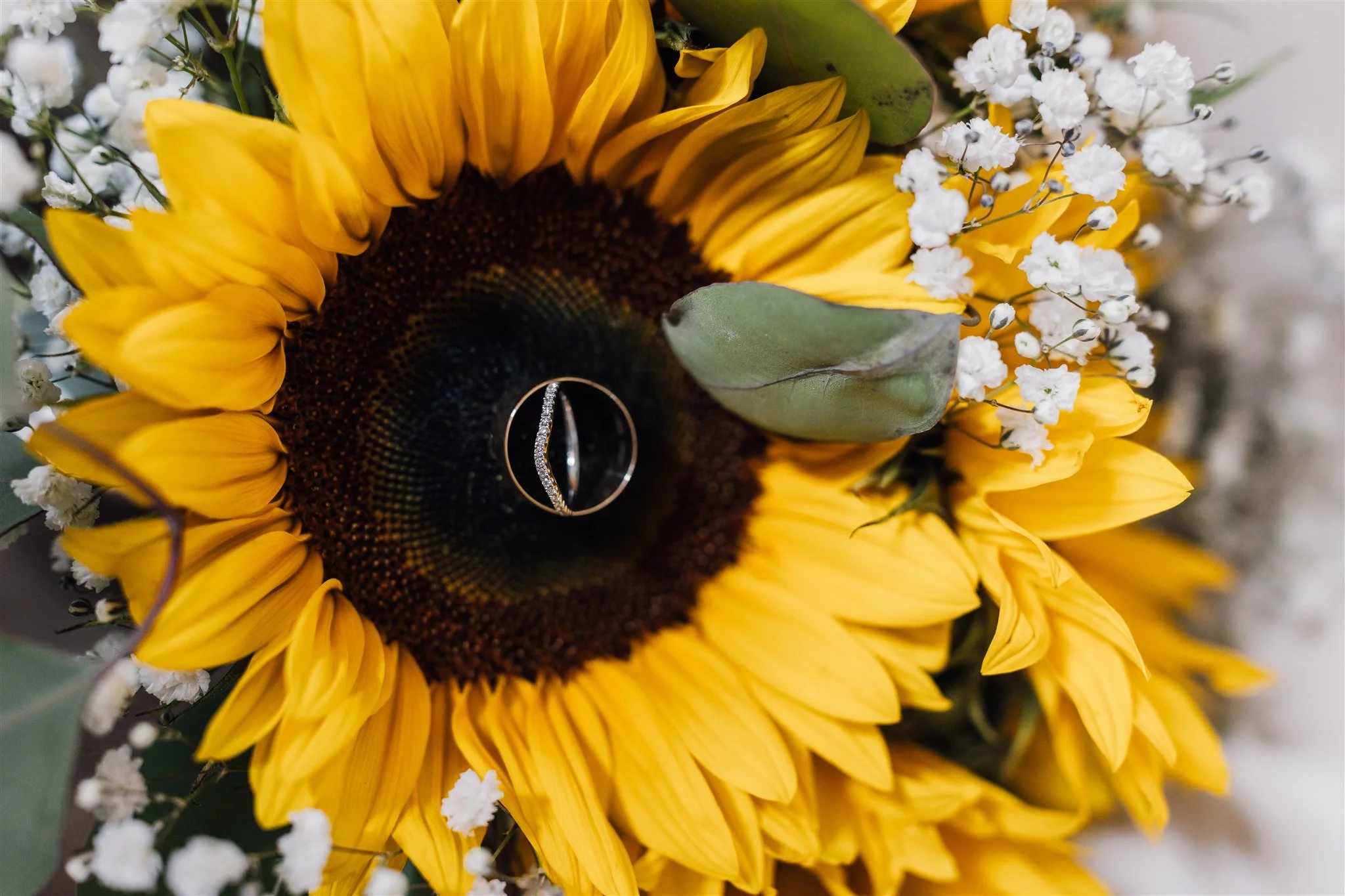 Wedding rings inside a sunflower