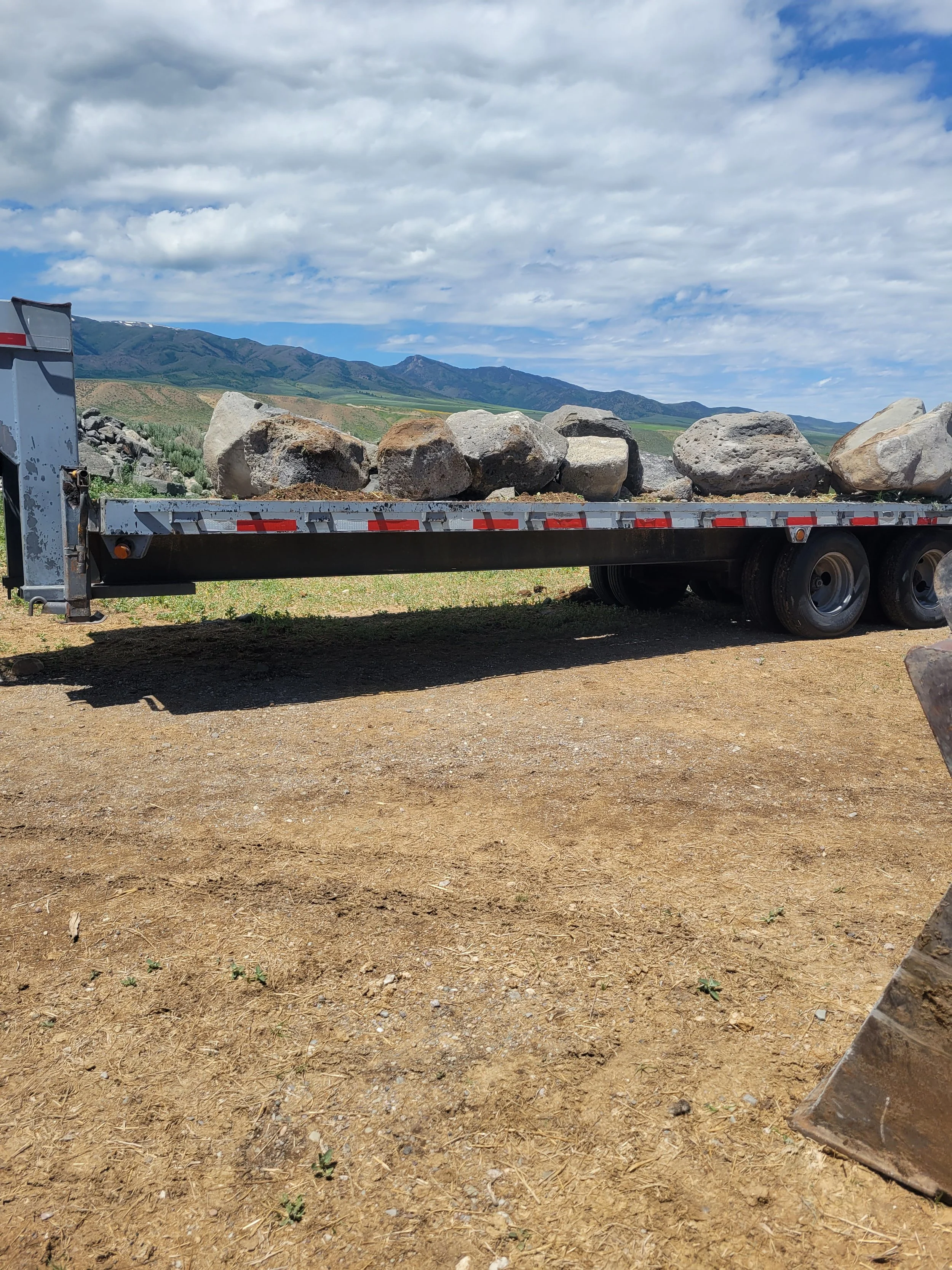 Medium to Large Rock