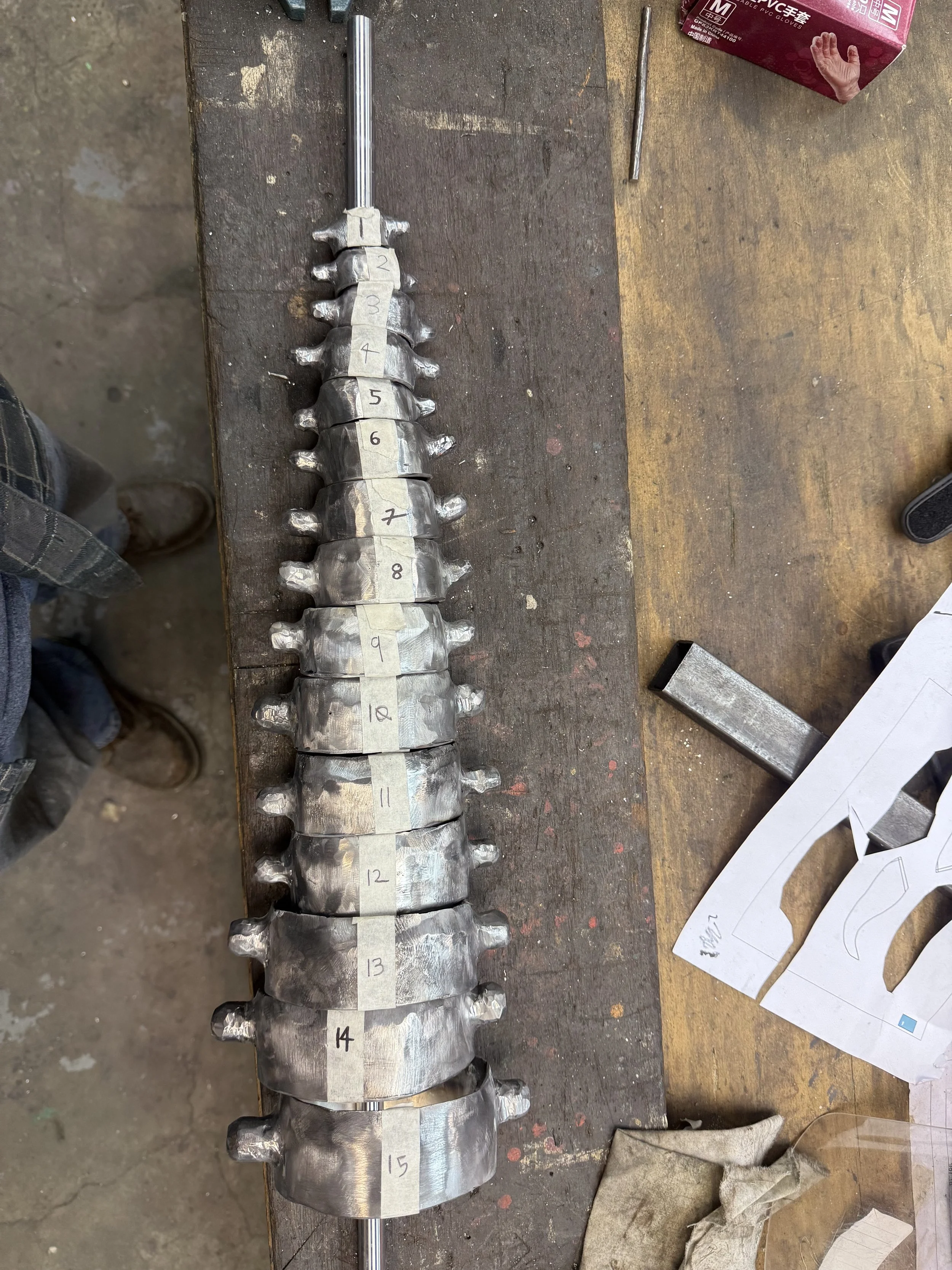 Polishing the vertebrae