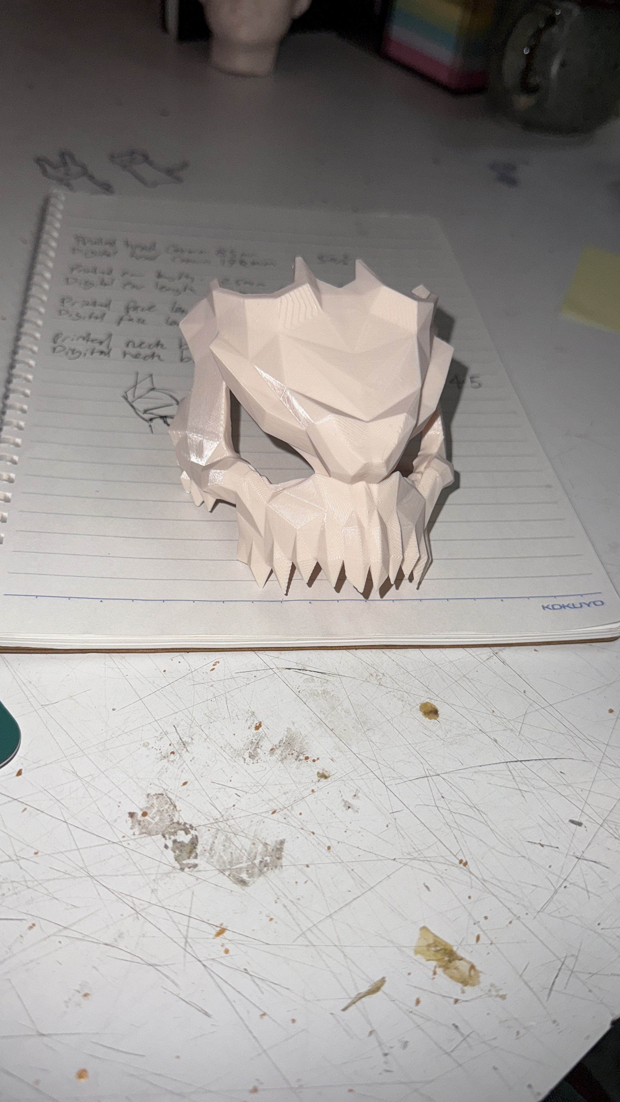 3D printed skull