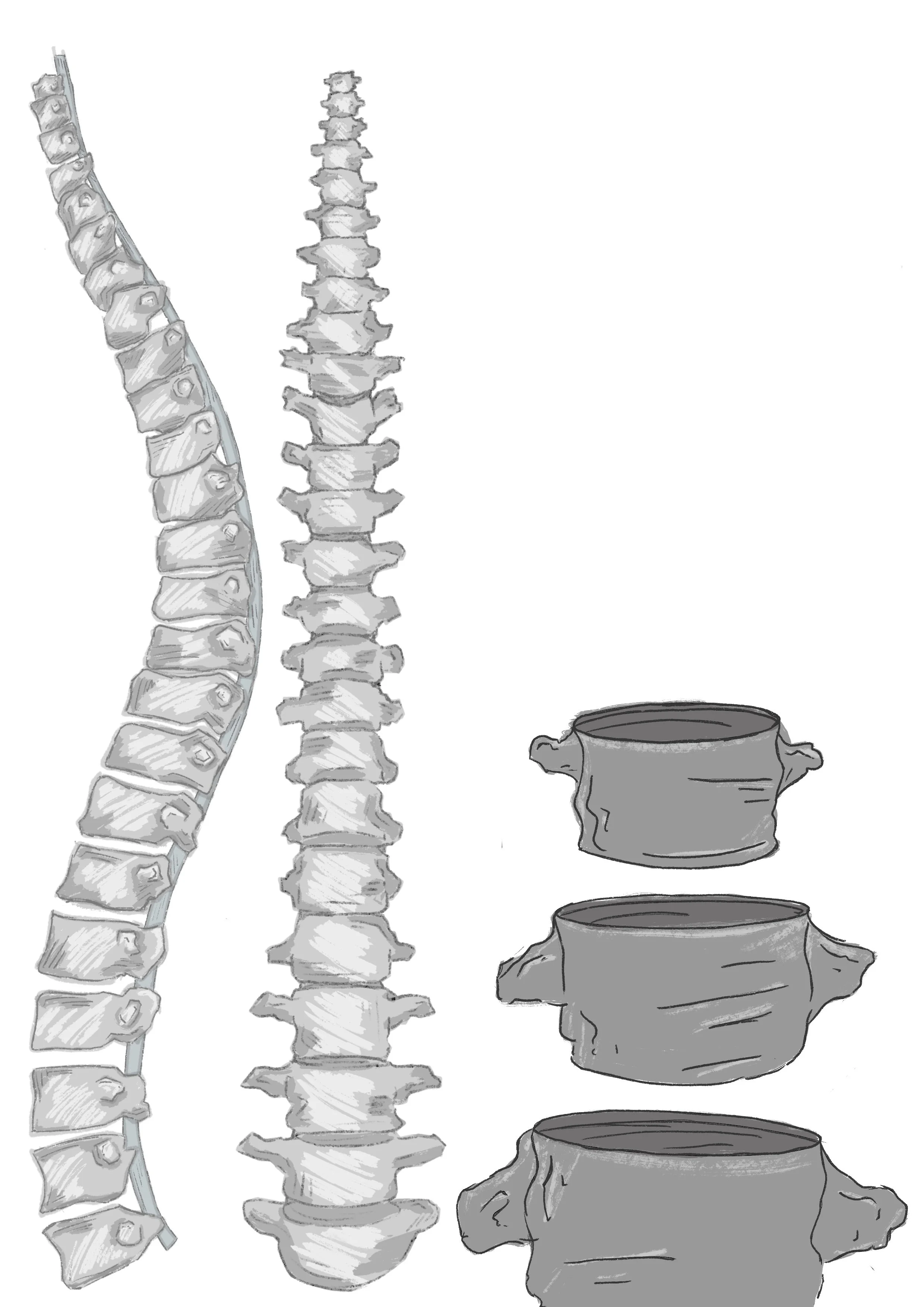 Original designs
