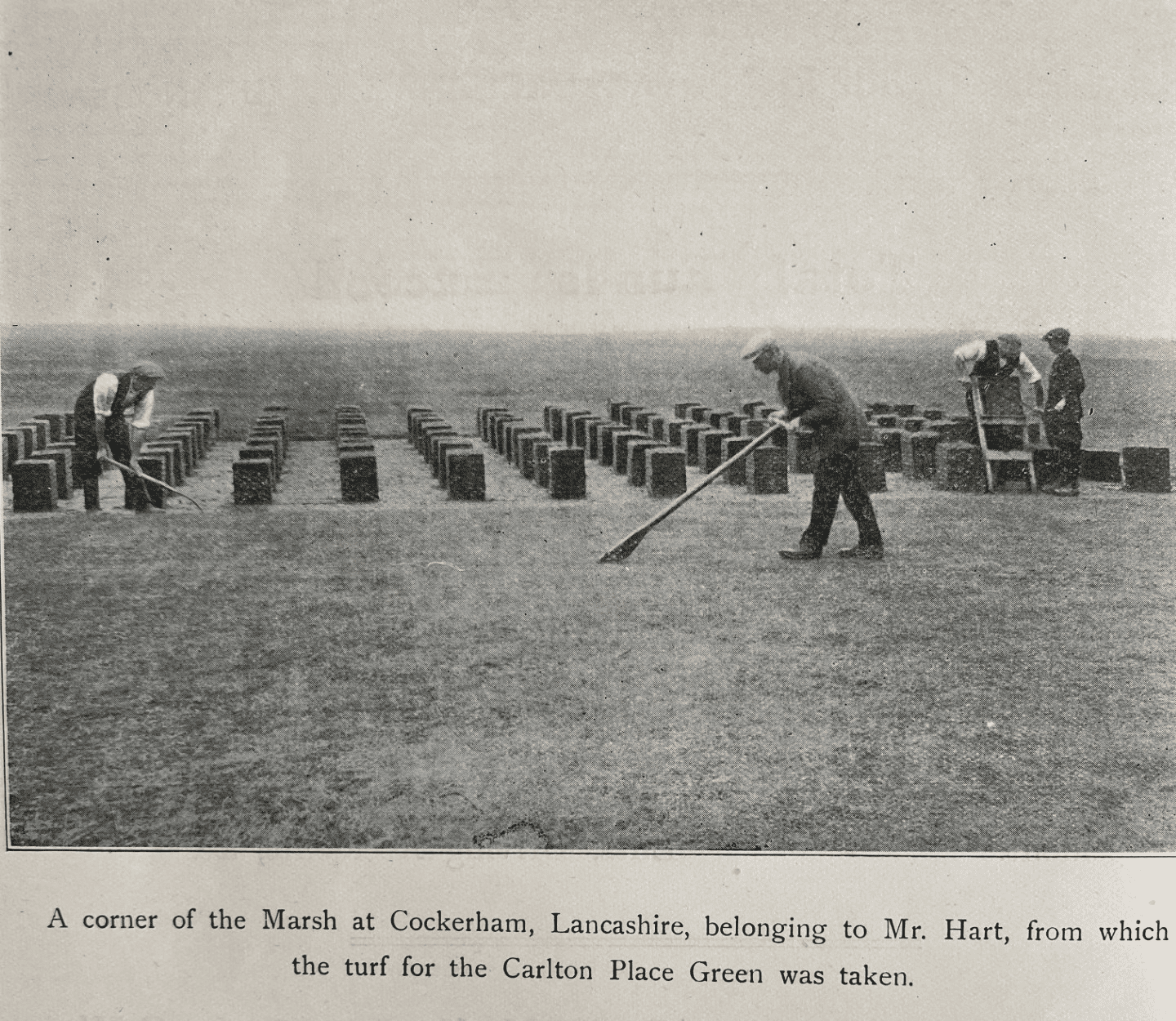 Historical photo of men preparing turf in a field.
