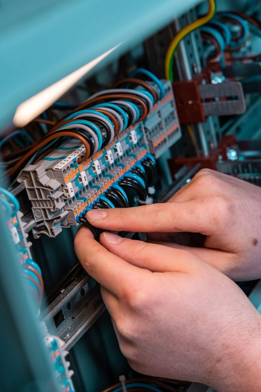 Electrician Arad