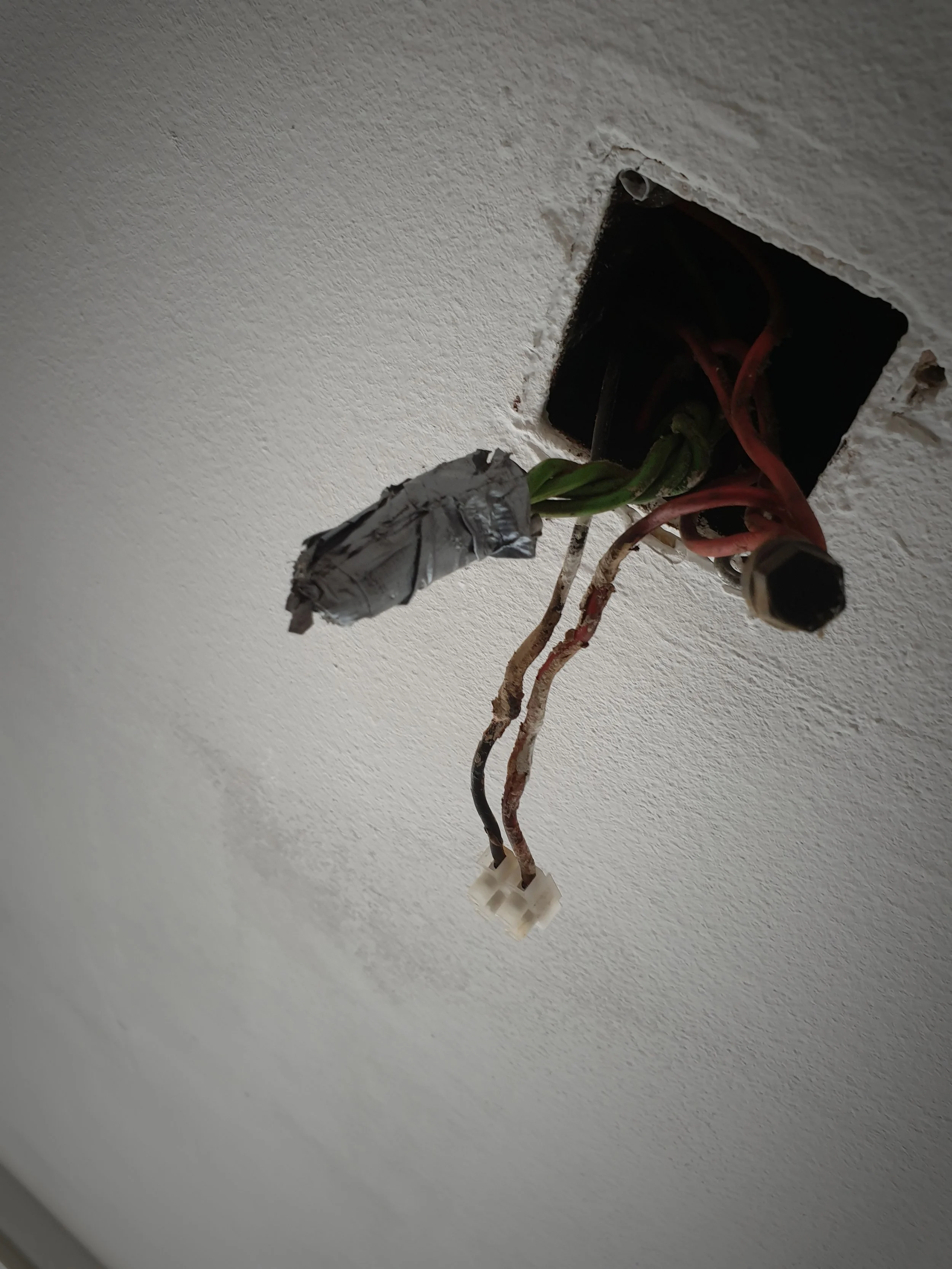 20190724_155222.jpg