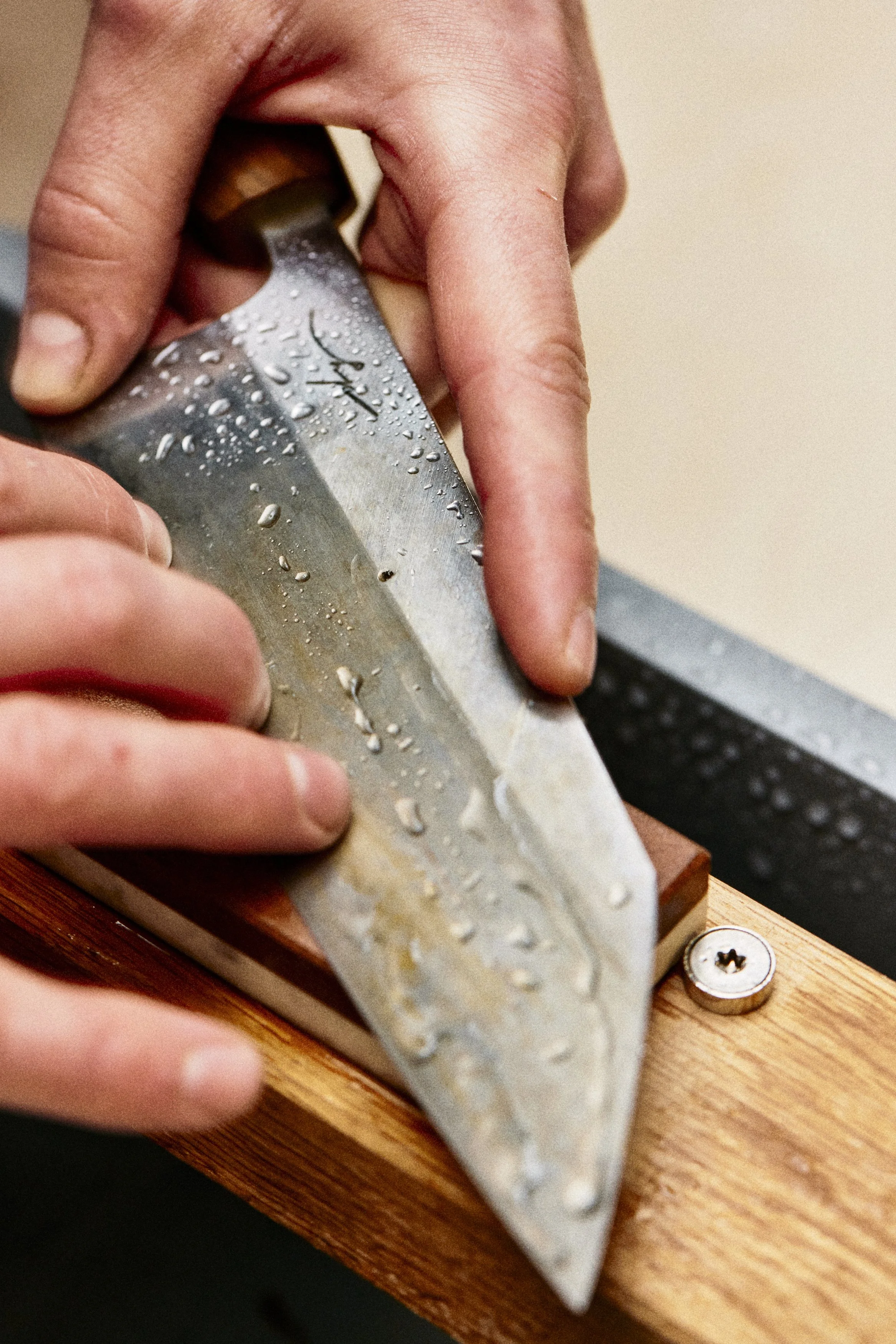 HUGO PETRY_2024_02_AngeloDalBo_0117.jpg