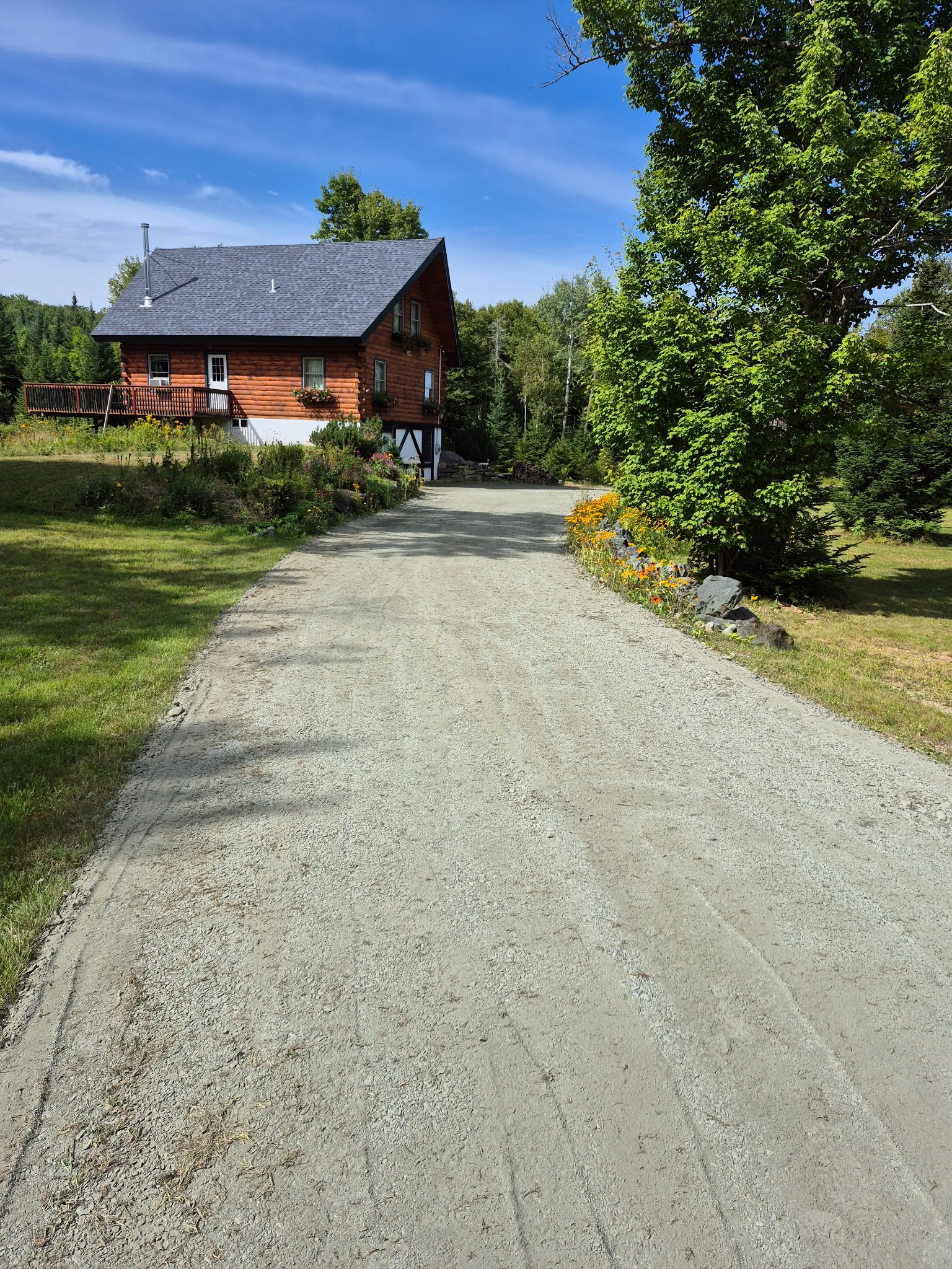 A gravel driveway leading up to a wooden house surrounded by greenery and trees under a blue sky.