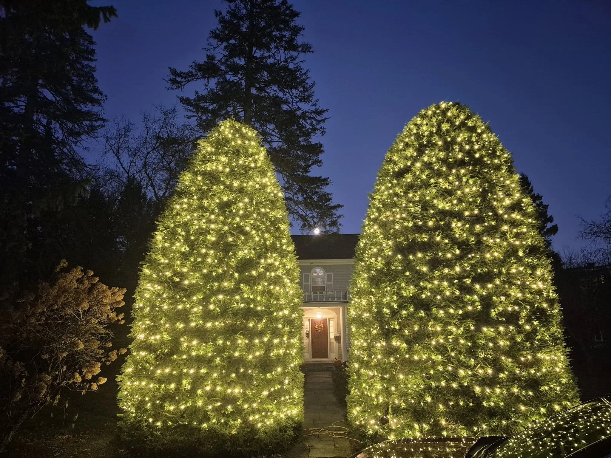 Two large Christmas trees with yellow lights in front of a house during nighttime.