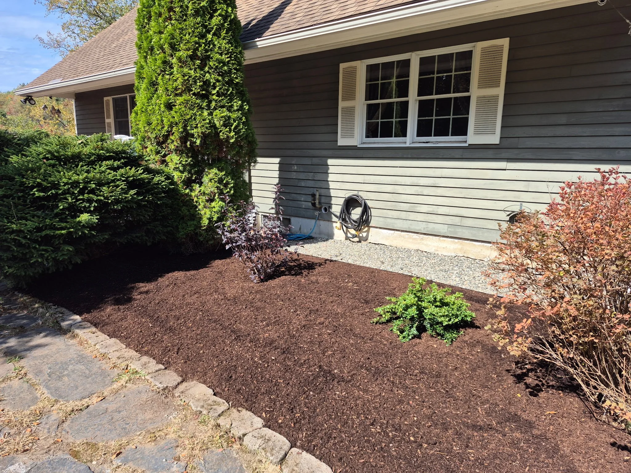 A suburban house yard with a landscaped flower bed featuring mulch, bushes, and small trees in front of a gray wooden house with white window shutters. There's a cobblestone path on the left and garden hoses on the house wall.