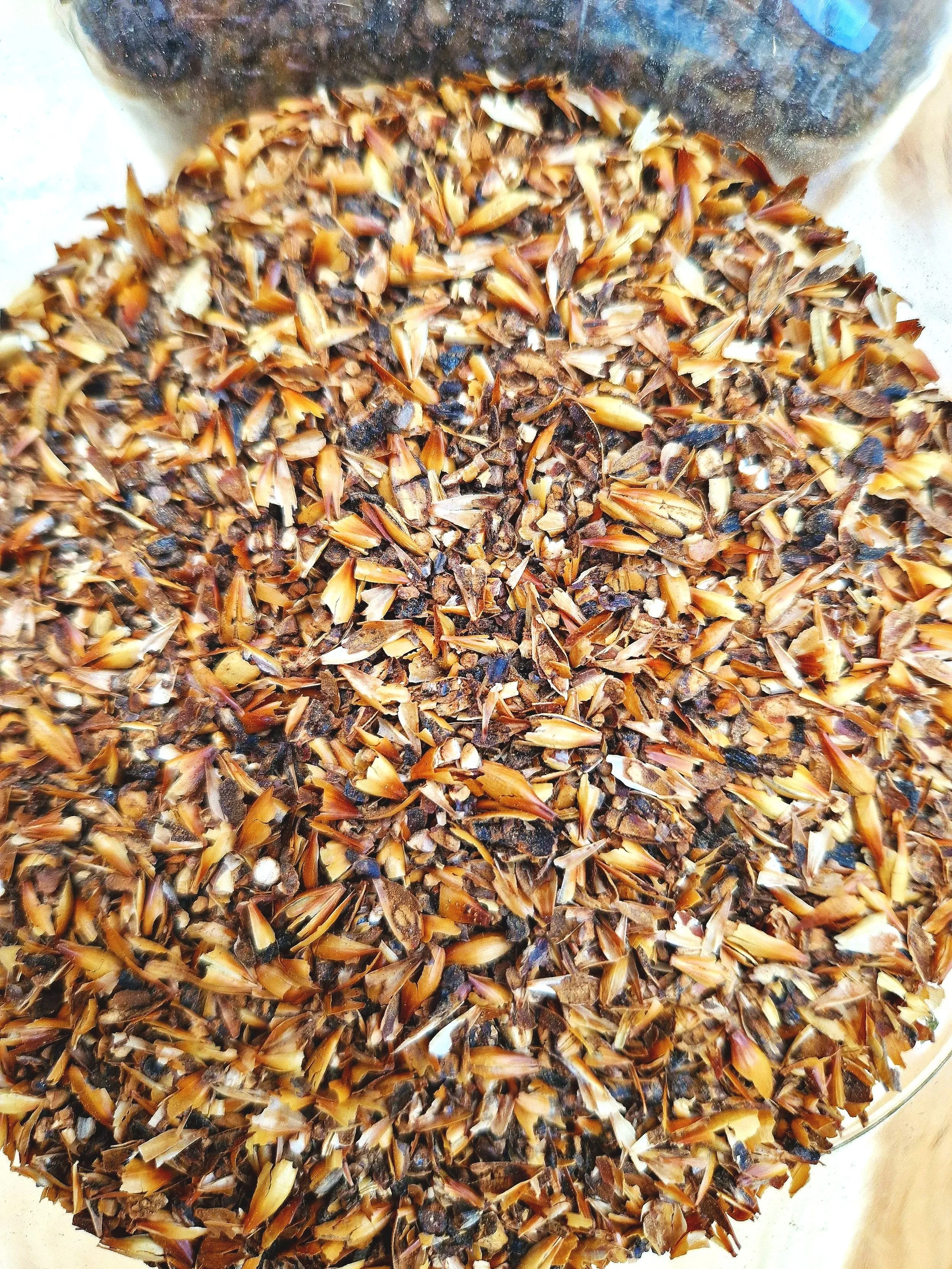 Close-up of roasted coffee beans.