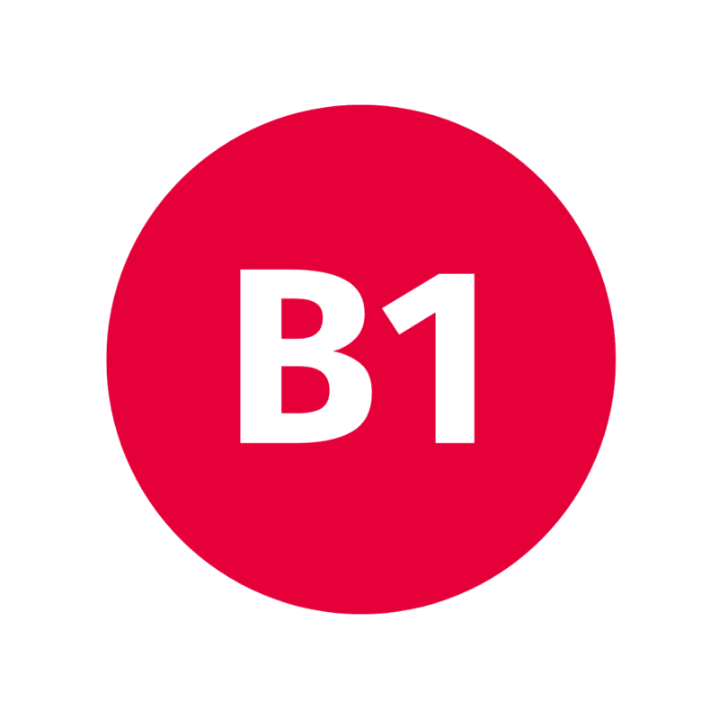 badge-niveau-b1-800x800.png