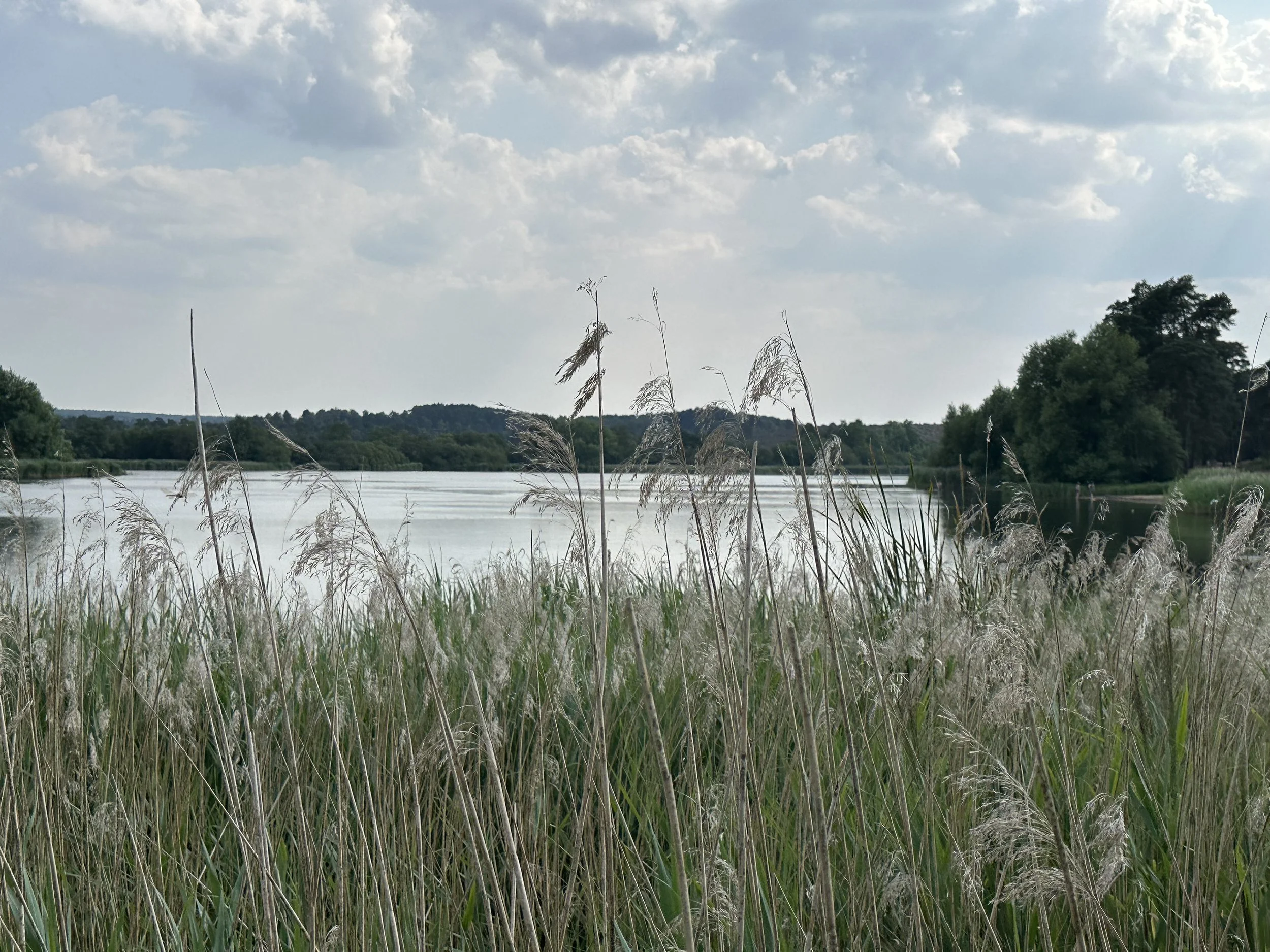 IMG_0603.jpeg