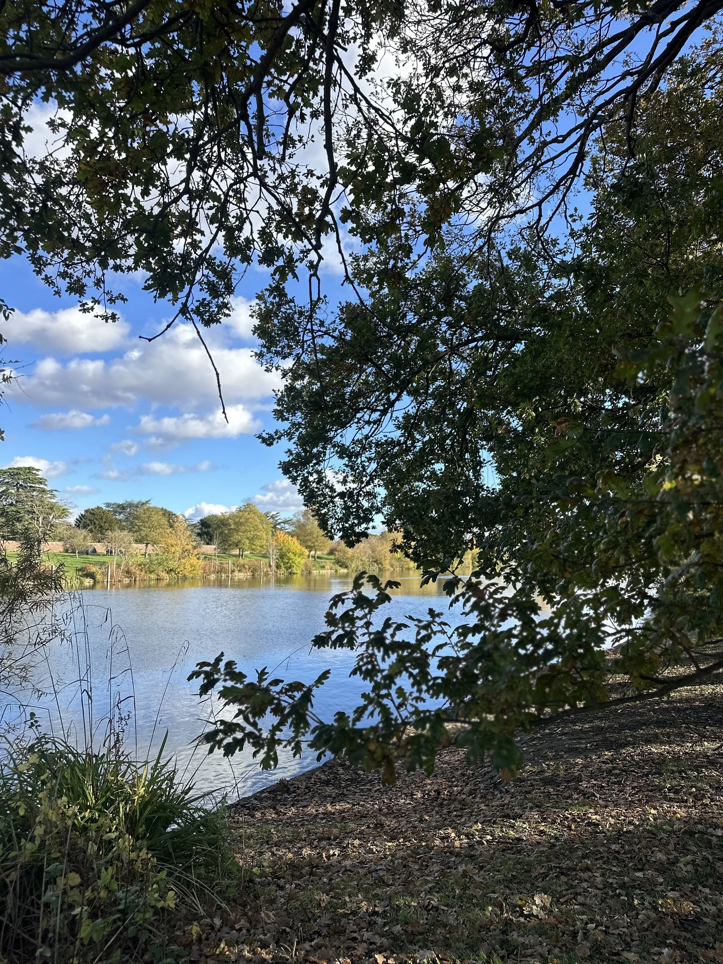 A scenic view of a river framed by overhanging tree branches and leaves on a sunny day with a blue sky and scattered cloudsmove
rest
revive
wellness
retreat
health
wellbeing 
healing 
connect 
connection
strengthen
soul?
(self) confidence
women
group
