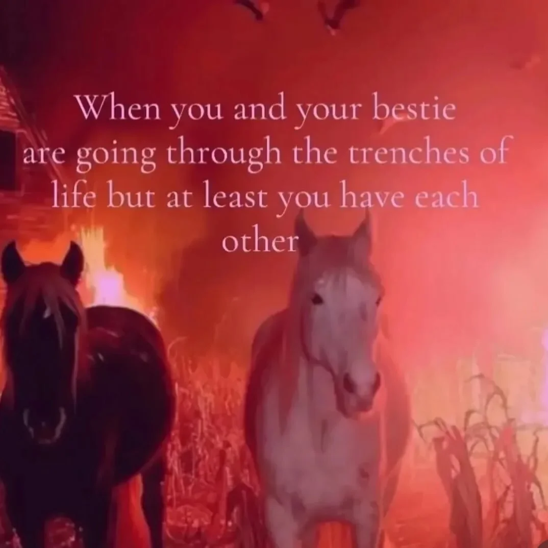 Besties for the Resties 🔥🐎

When you and your ride-or-die are going through absolute business hell&hellip;

&hellip;but at least you&rsquo;re doing it together.

Episode 3 is about:

&bull; friendship under pressure
&bull; founder fights + forgiven