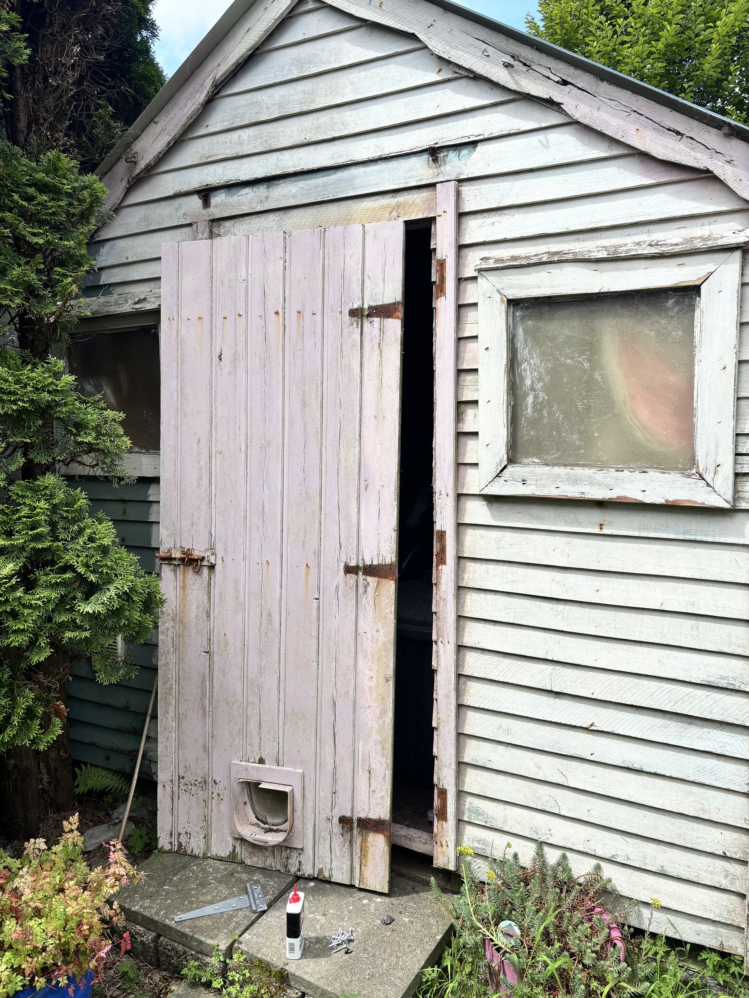 handyman clonakilty shed door repair.JPG