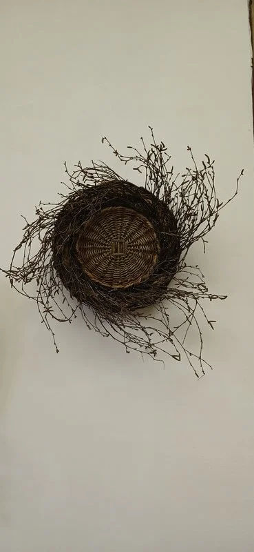 A circular basket with twigs and branches protruding from it, hanging on a plain wall.