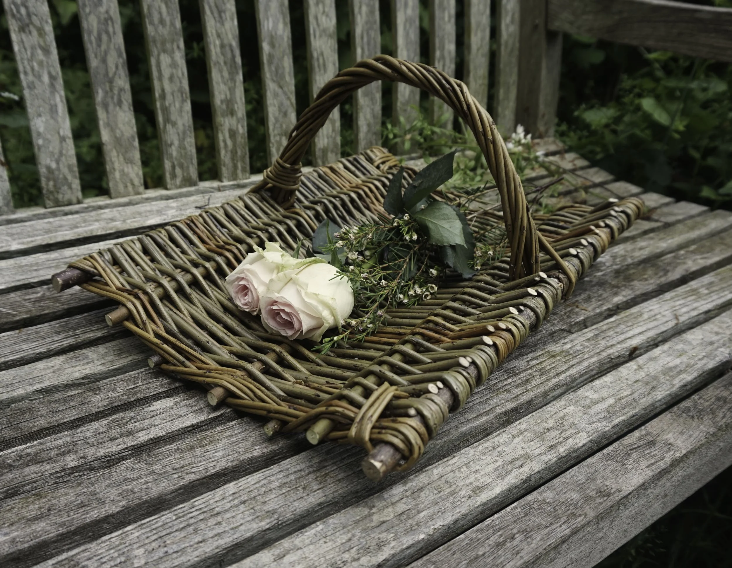 LISA DEAR BASKETRY GALLERY-3.jpg