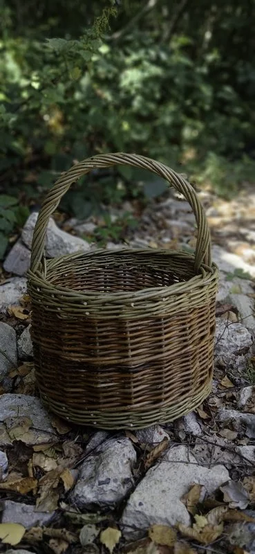 Empty wicker basket on rocky ground in a wooded area