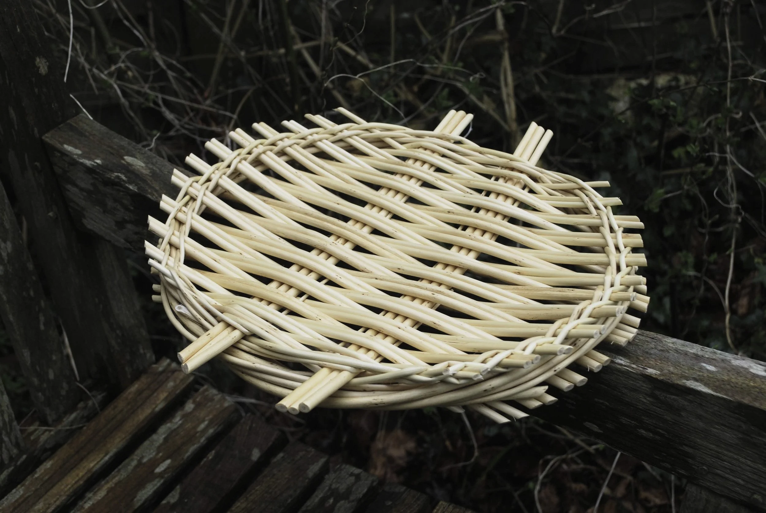 A woven basket sitting on a weathered wooden surface outdoors, with a dark natural background of twigs and plants.