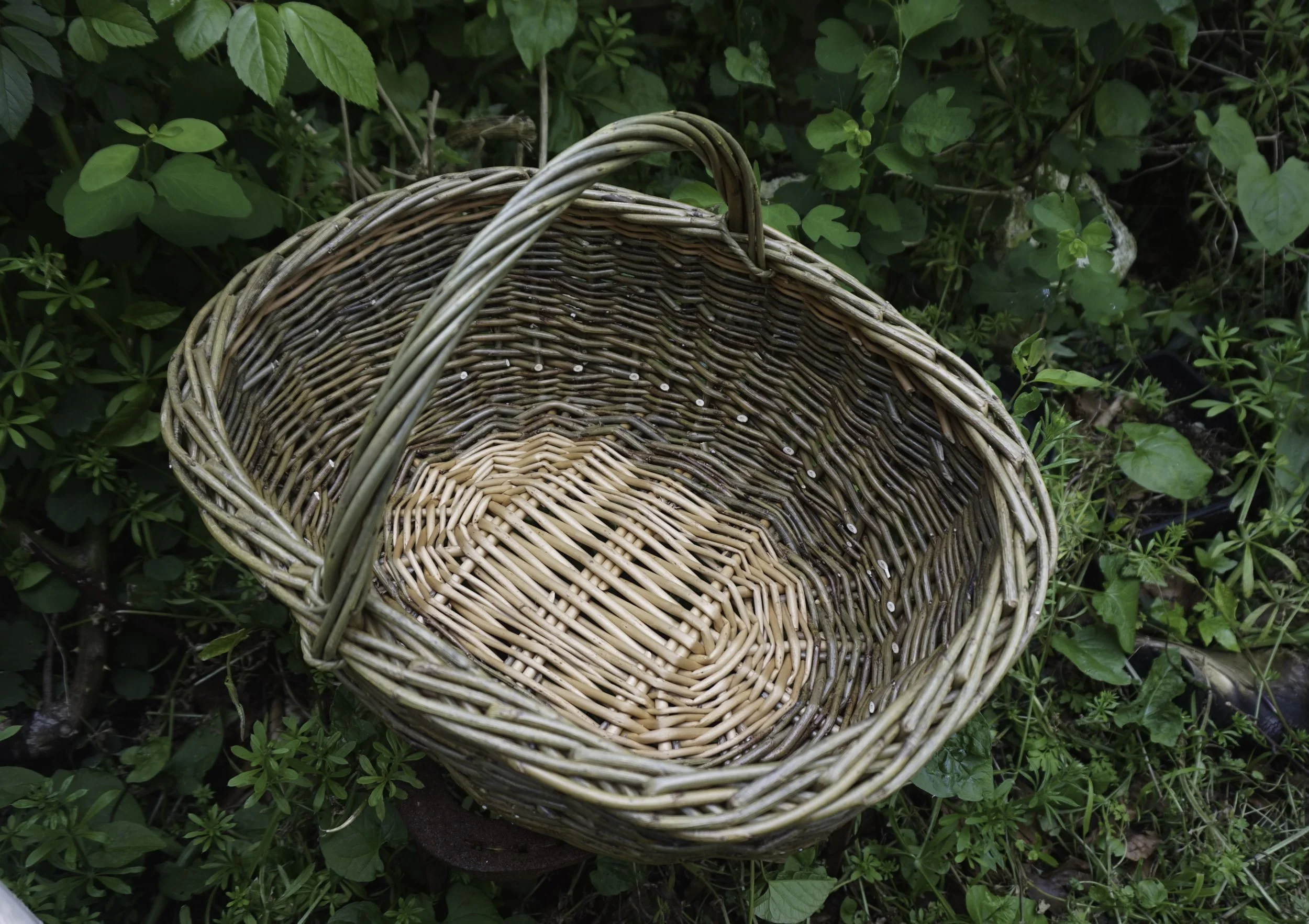 LISA DEAR BASKETRY GALLERY-2.jpg