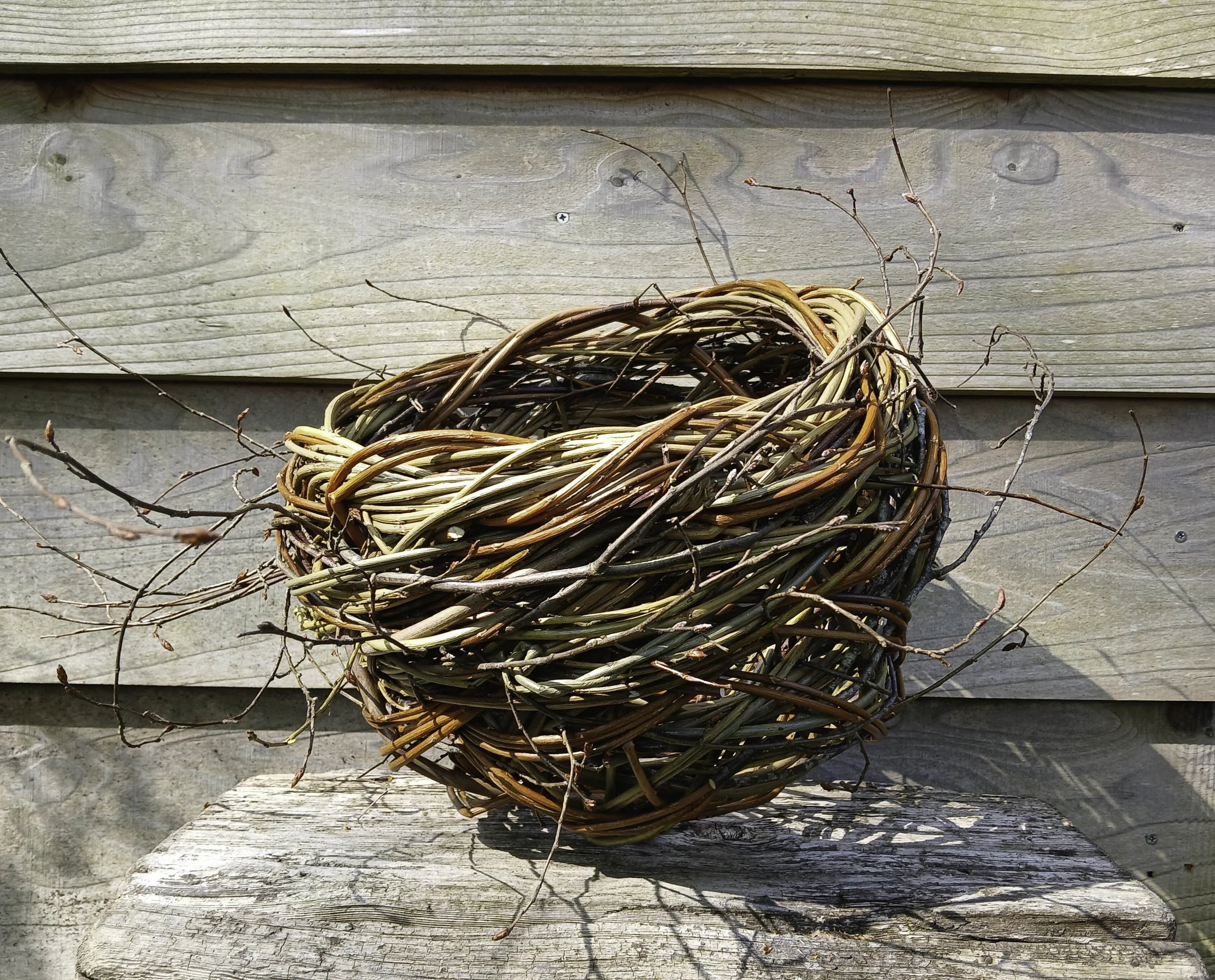 Birds nest basket made of intertwined twigs resting on weathered wooden planks.