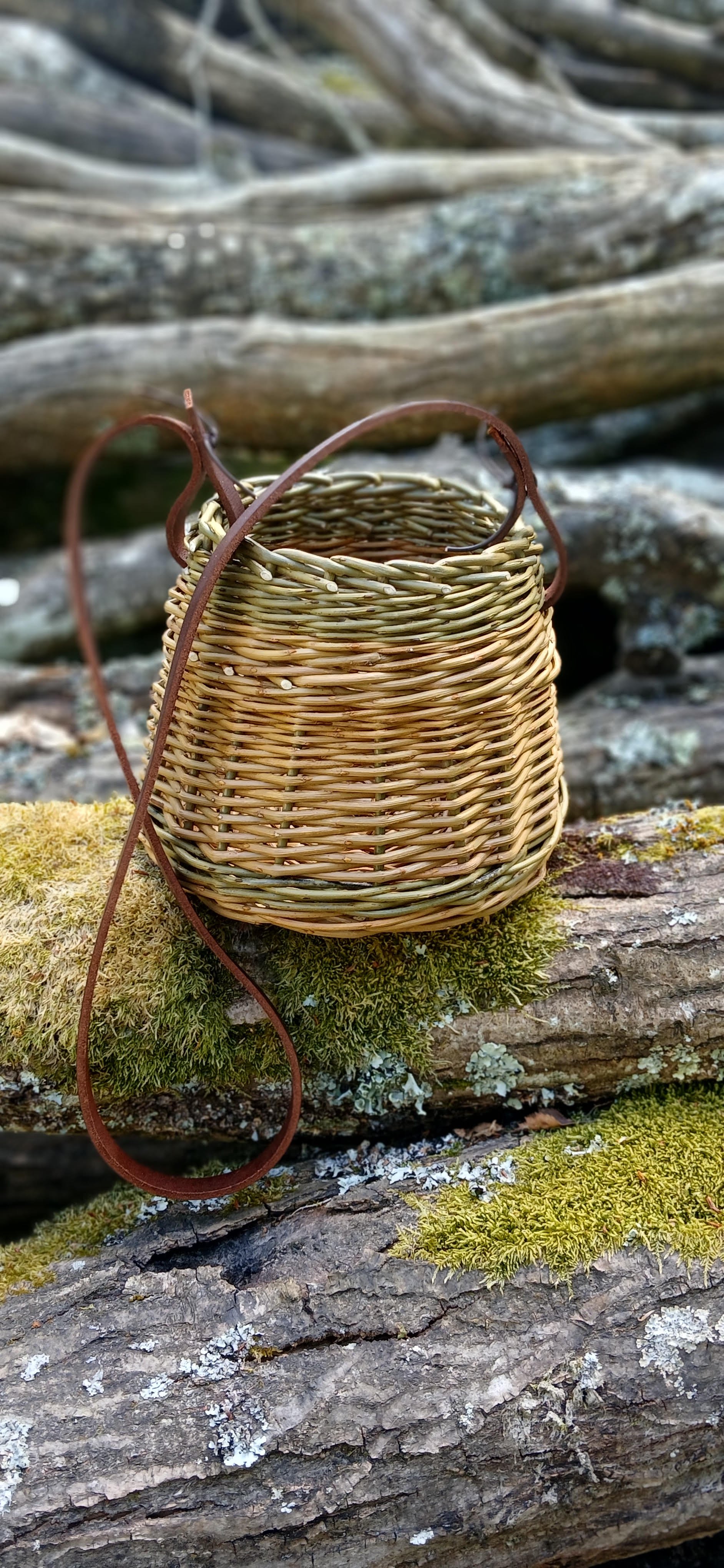 Mini Forager