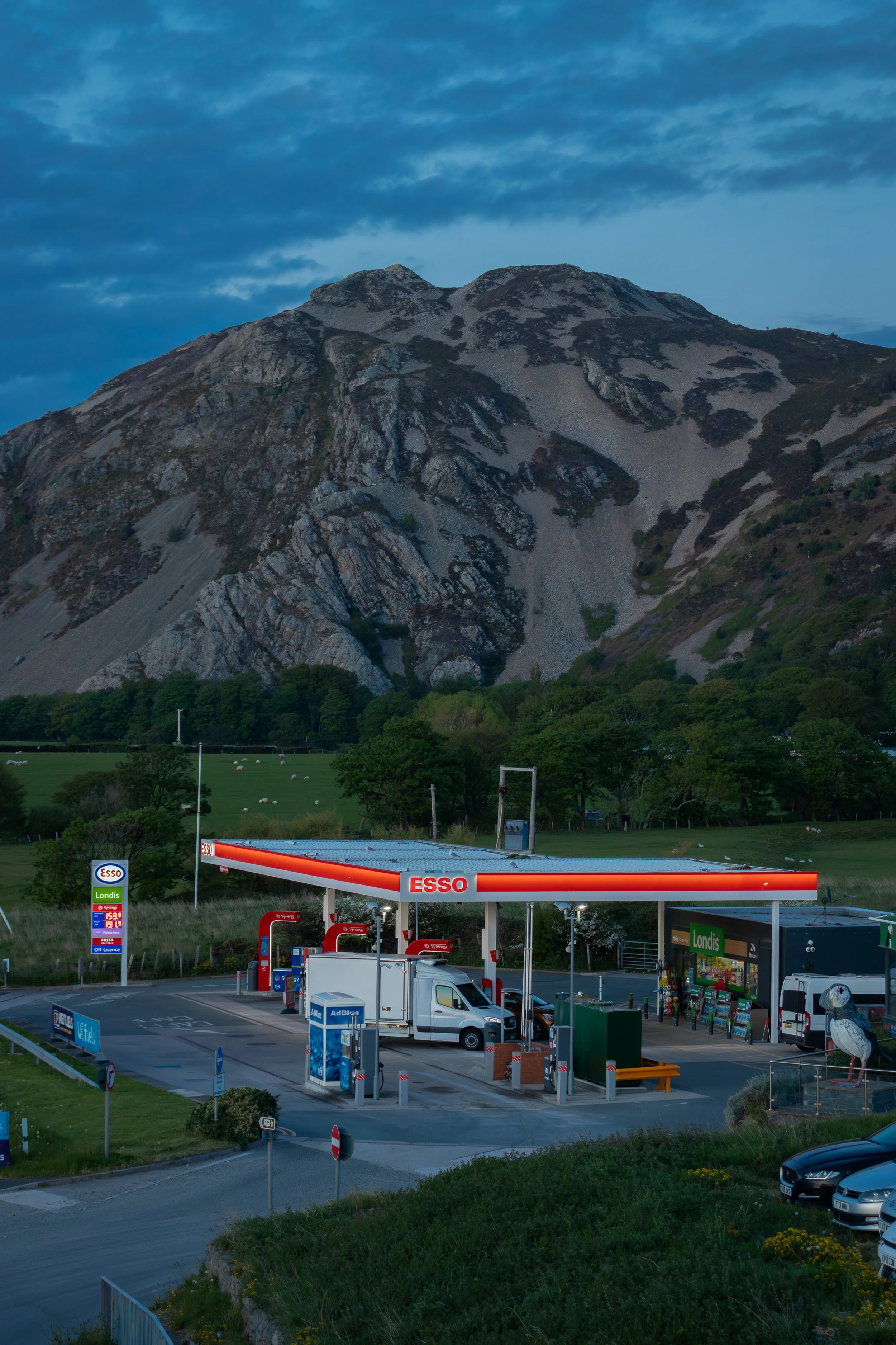 Gas station with Esso branding, surrounded by trees and a mountain in the background, under a cloudy sky.