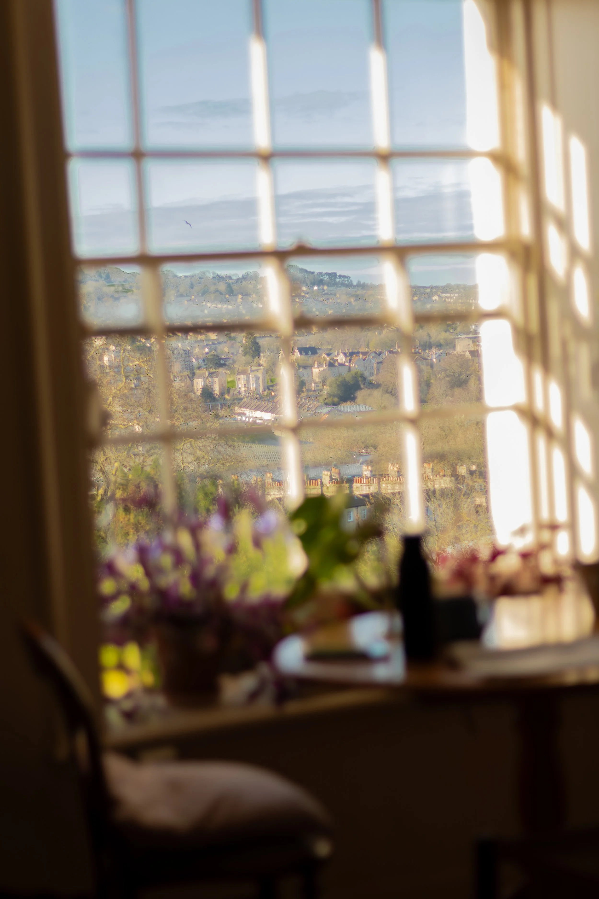 A view through a window with a grid pattern showing a landscape of houses, trees, and hills under a partly cloudy sky.